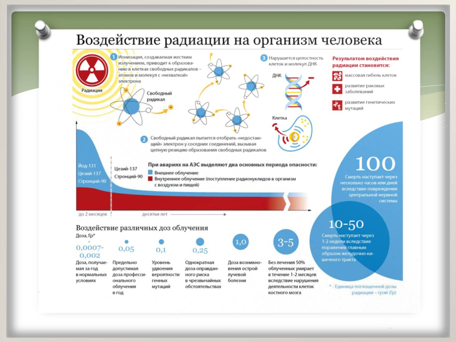 Презентація на тему «Вплив радіоактивного випромінювання на живі організми» (варіант 2) - Слайд #17 Презентація на тему «Вплив радіоактивного випромінювання на живі організми» (варіант 2) - Слайд #17