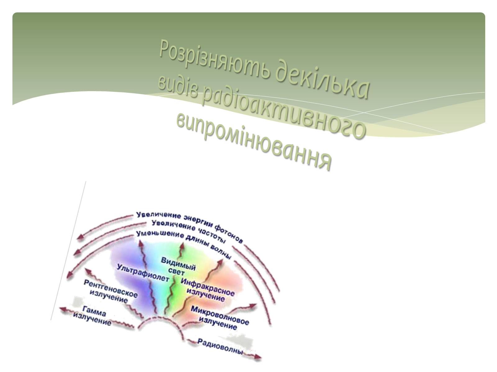 Презентація на тему «Вплив радіоактивного випромінювання на живі організми» (варіант 2) - Слайд #6 Презентація на тему «Вплив радіоактивного випромінювання на живі організми» (варіант 2) - Слайд #6
