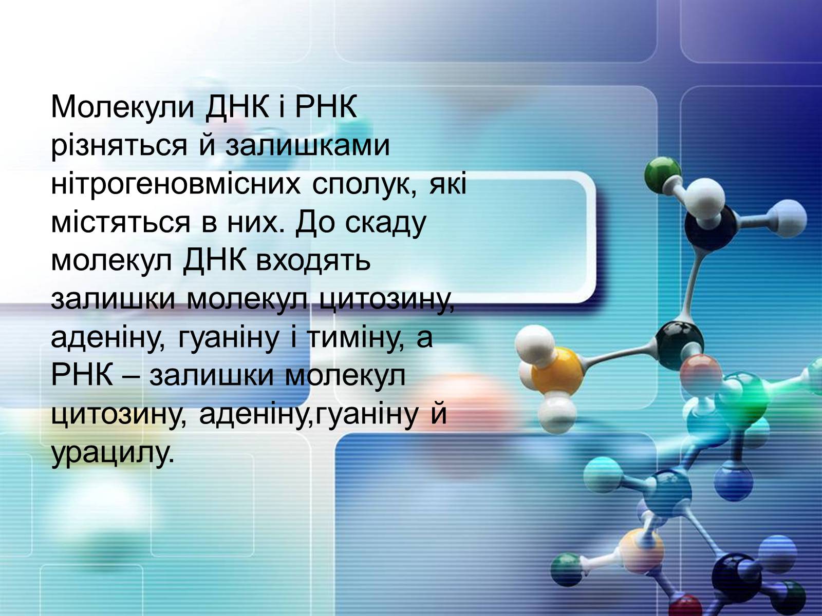 Презентація на тему «Нуклеїнові кислоти» (варіант 4) - Слайд #11 Презентація на тему «Нуклеїнові кислоти» (варіант 4) - Слайд #11