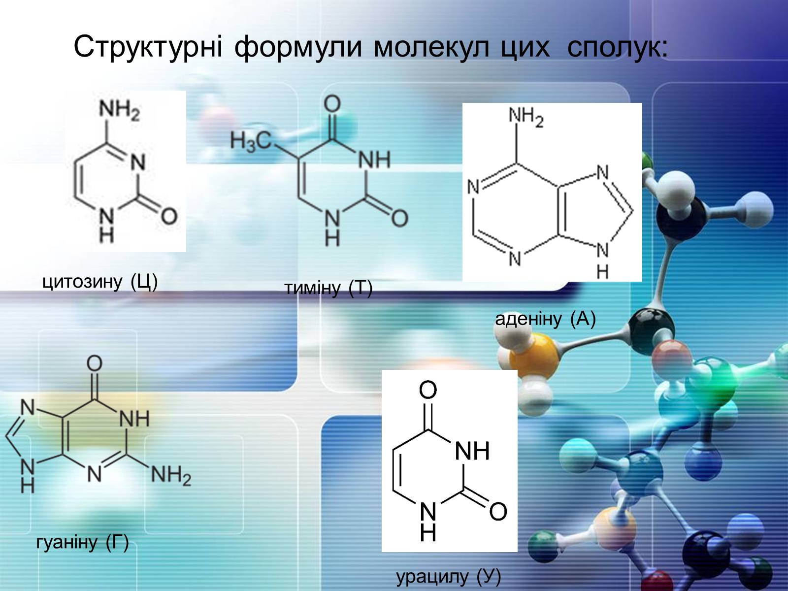 Презентація на тему «Нуклеїнові кислоти» (варіант 4) - Слайд #12 Презентація на тему «Нуклеїнові кислоти» (варіант 4) - Слайд #12