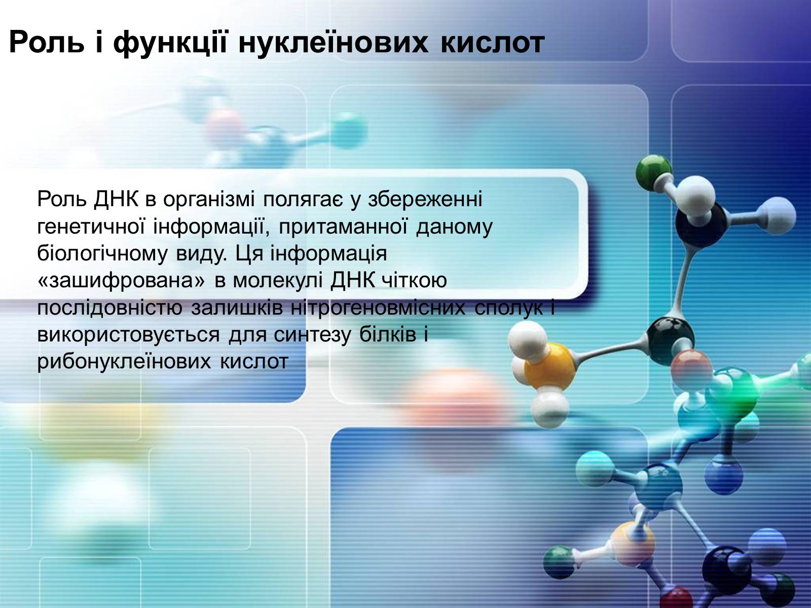 Презентація на тему «Нуклеїнові кислоти» (варіант 4) - Слайд #13 Презентація на тему «Нуклеїнові кислоти» (варіант 4) - Слайд #13