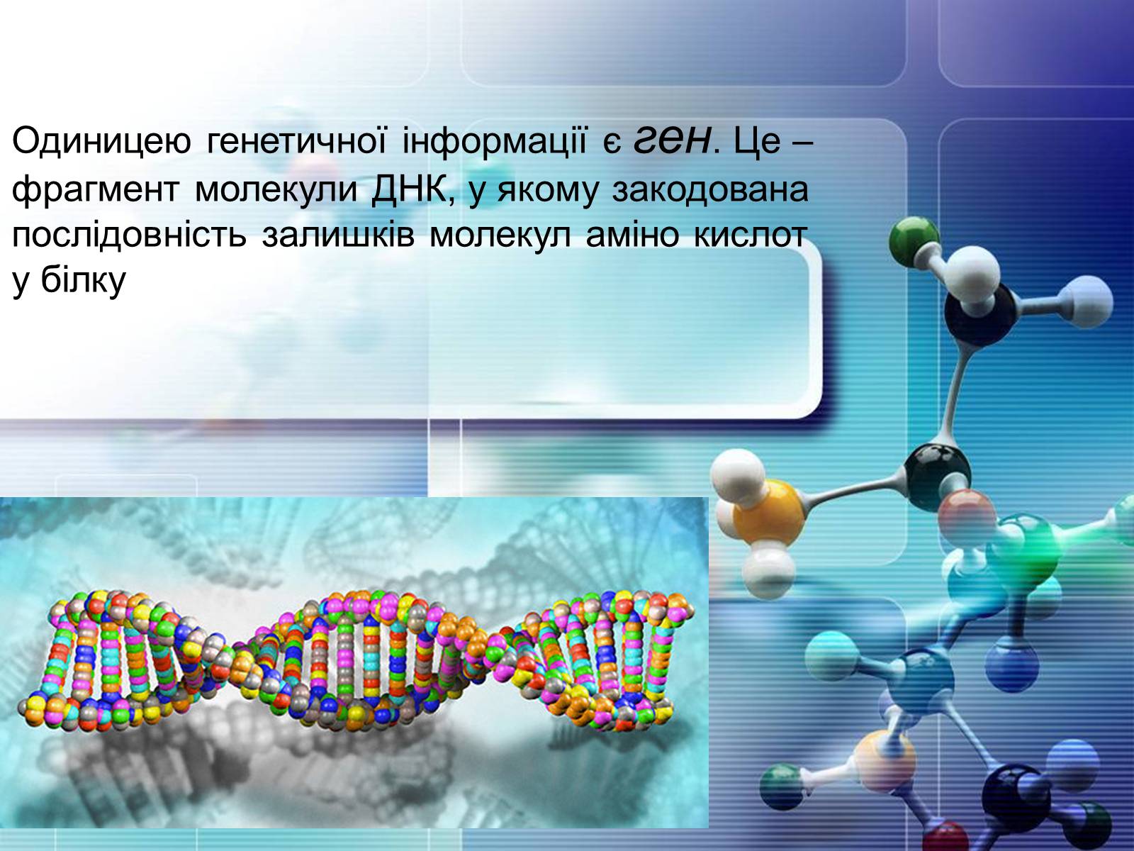 Презентація на тему «Нуклеїнові кислоти» (варіант 4) - Слайд #14 Презентація на тему «Нуклеїнові кислоти» (варіант 4) - Слайд #14
