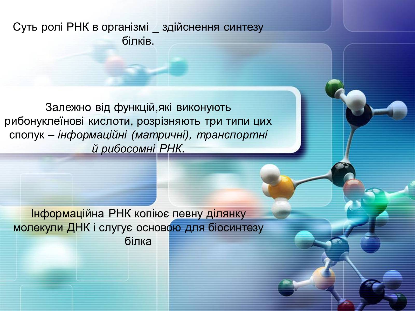Презентація на тему «Нуклеїнові кислоти» (варіант 4) - Слайд #15 Презентація на тему «Нуклеїнові кислоти» (варіант 4) - Слайд #15