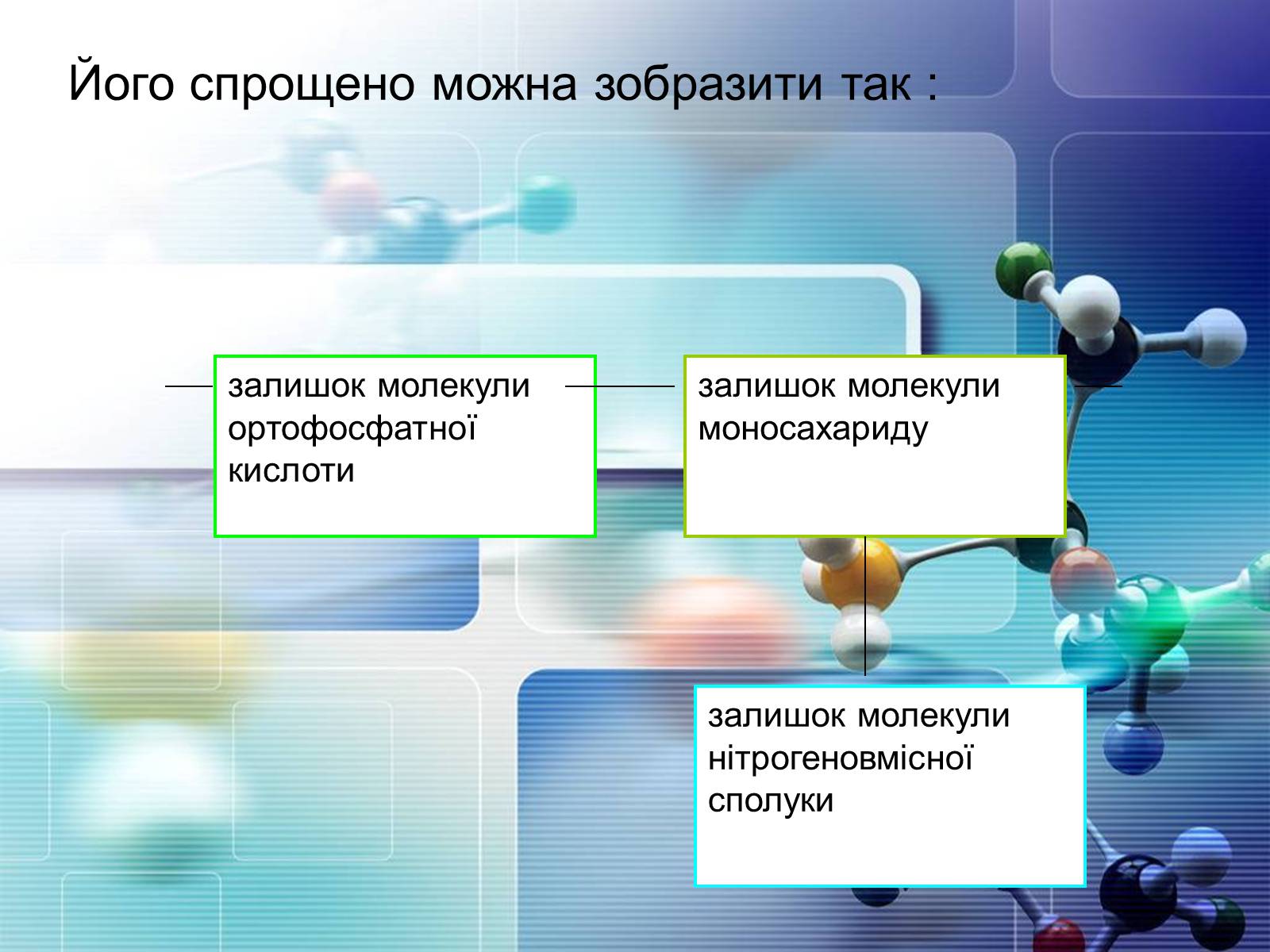 Презентація на тему «Нуклеїнові кислоти» (варіант 4) - Слайд #6 Презентація на тему «Нуклеїнові кислоти» (варіант 4) - Слайд #6