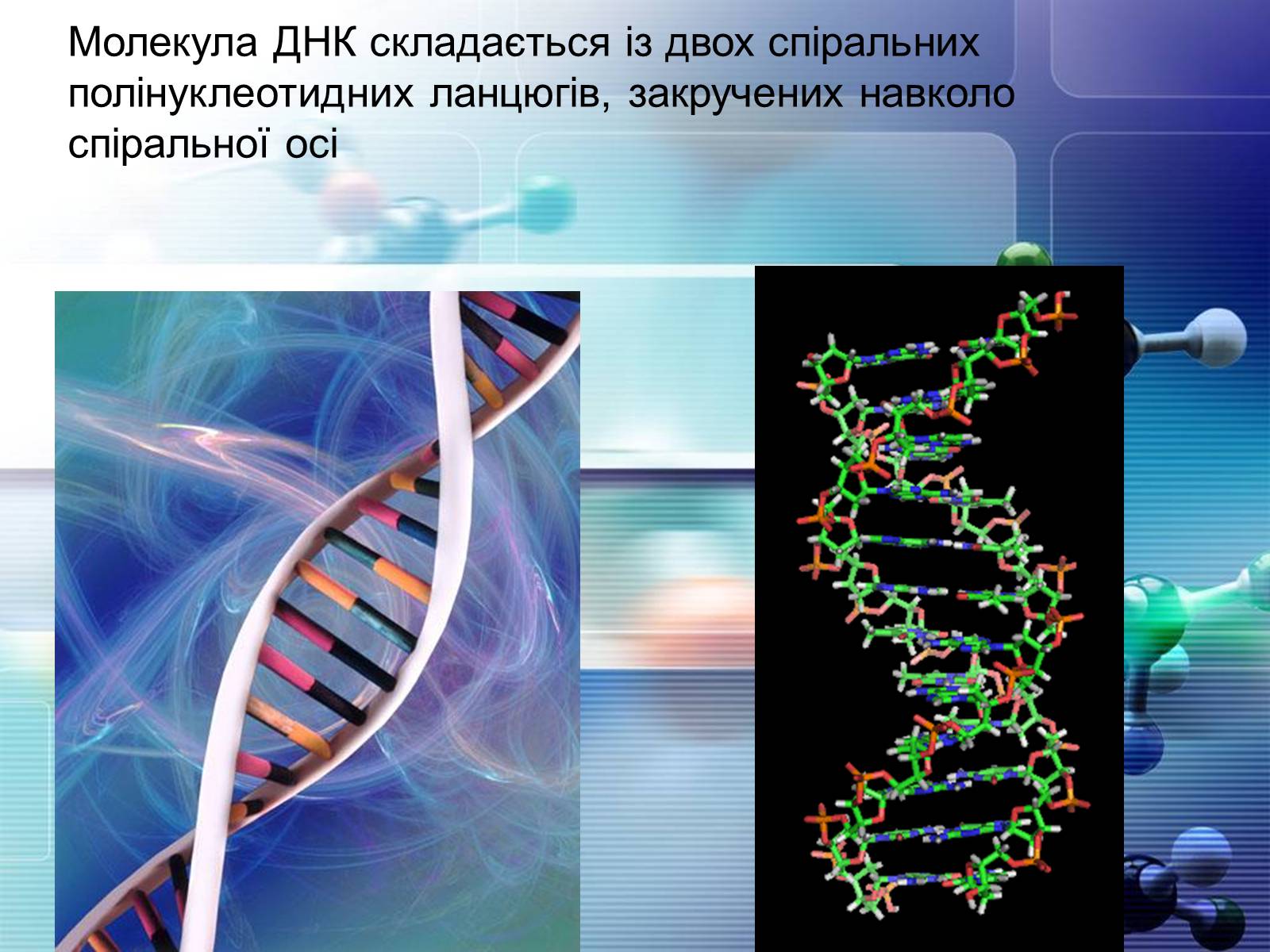 Презентація на тему «Нуклеїнові кислоти» (варіант 4) - Слайд #9 Презентація на тему «Нуклеїнові кислоти» (варіант 4) - Слайд #9