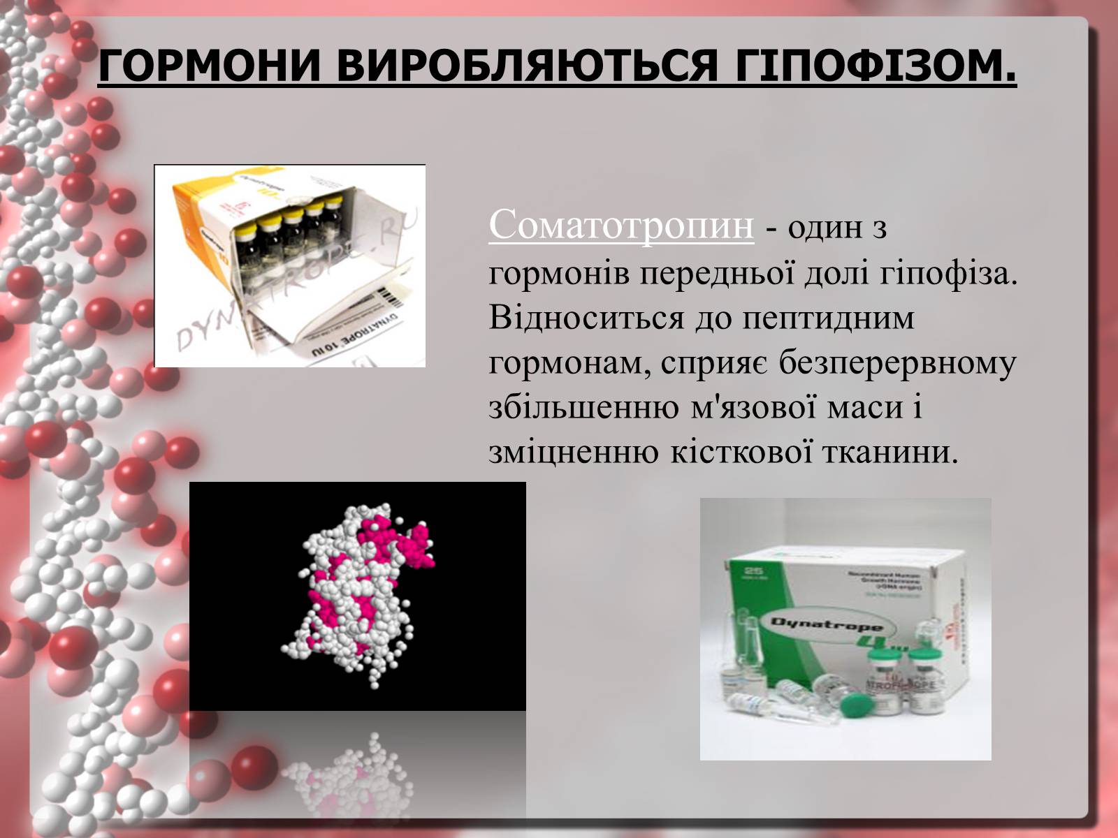 Презентація на тему «Гормони» (варіант 3) - Слайд #6 Презентація на тему «Гормони» (варіант 3) - Слайд #6