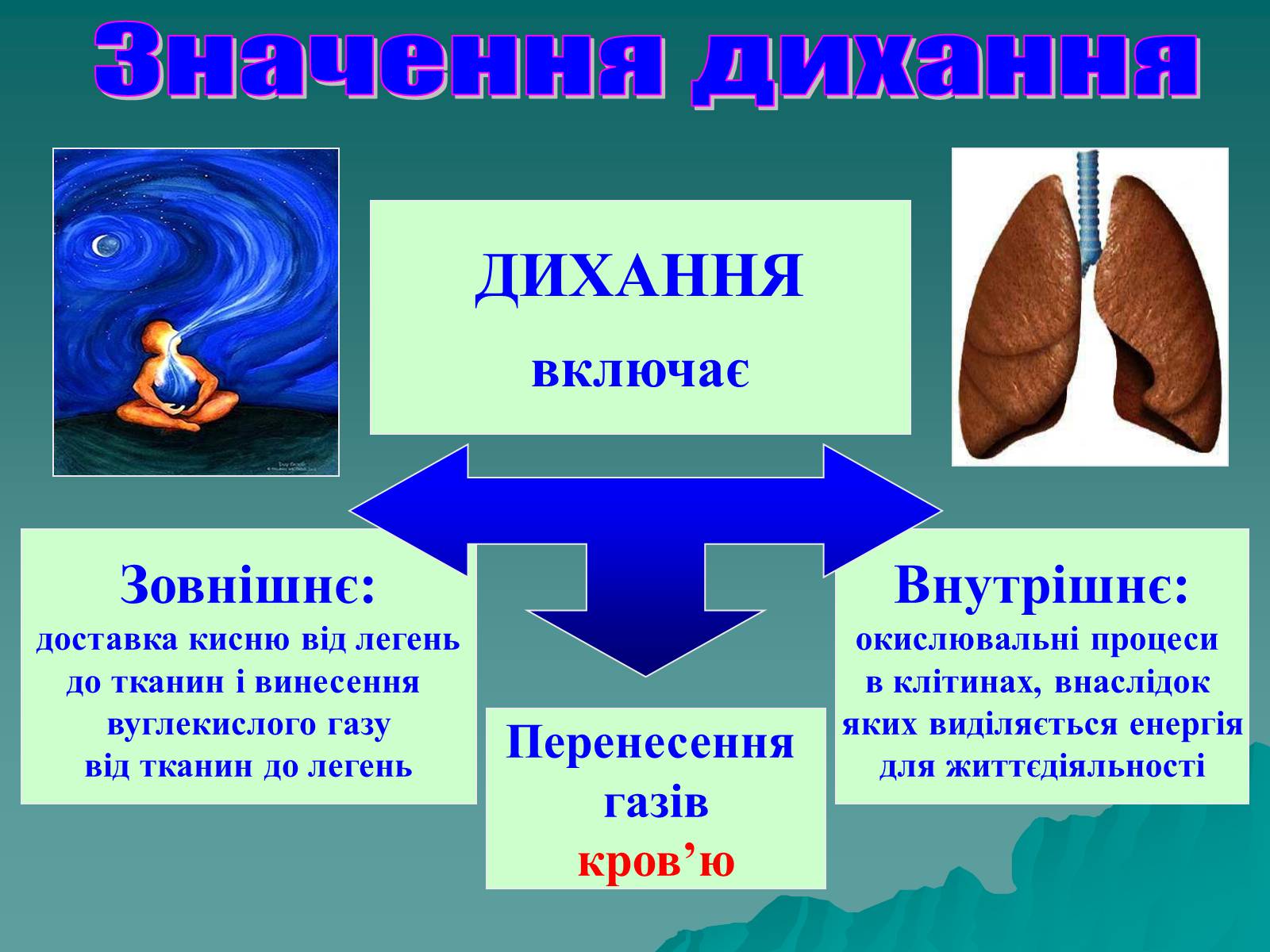 Презентація на тему «Дихання» (варіант 3) - Слайд #3 Презентація на тему «Дихання» (варіант 3) - Слайд #3