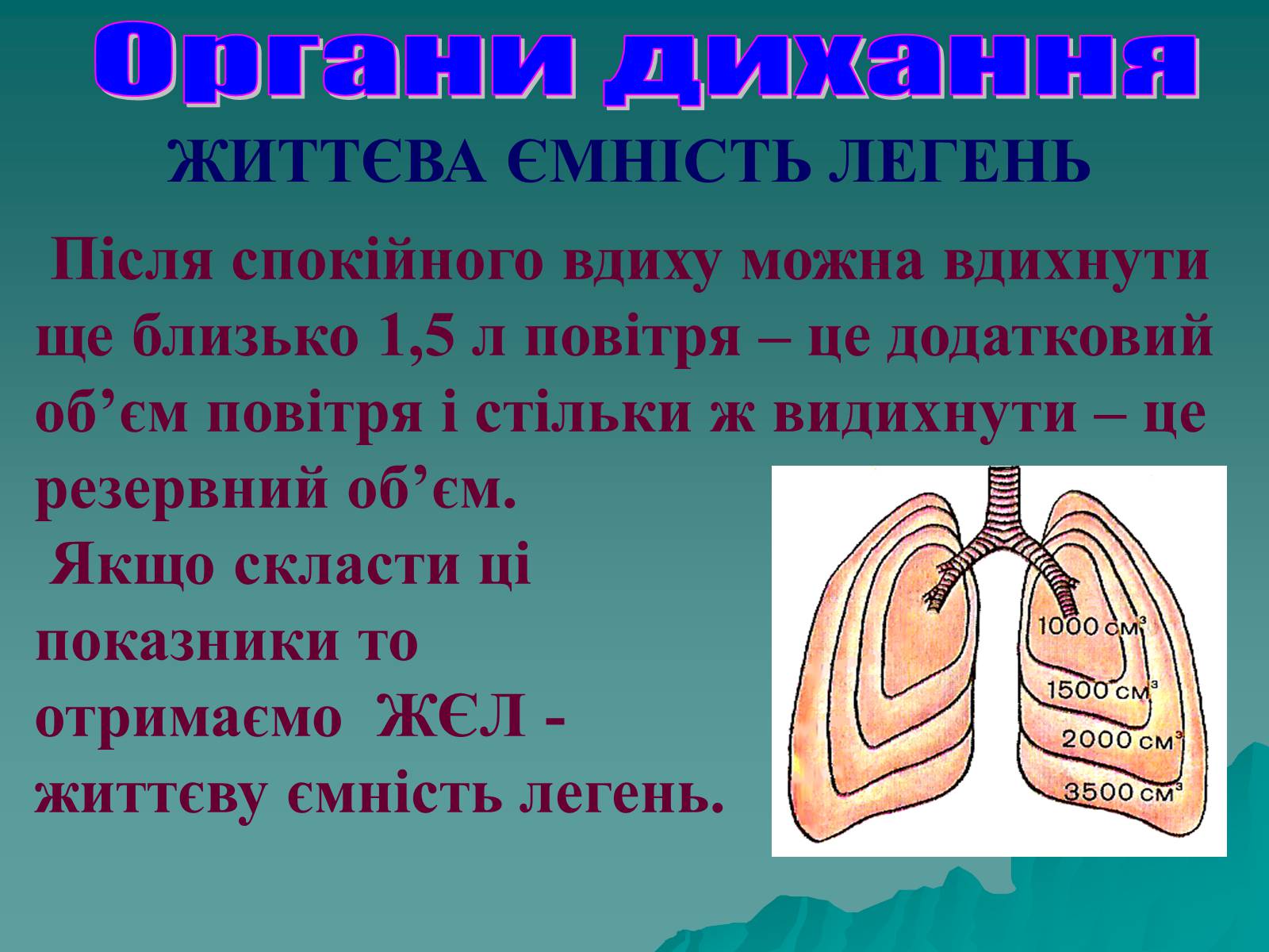 Презентація на тему «Дихання» (варіант 3) - Слайд #56 Презентація на тему «Дихання» (варіант 3) - Слайд #56