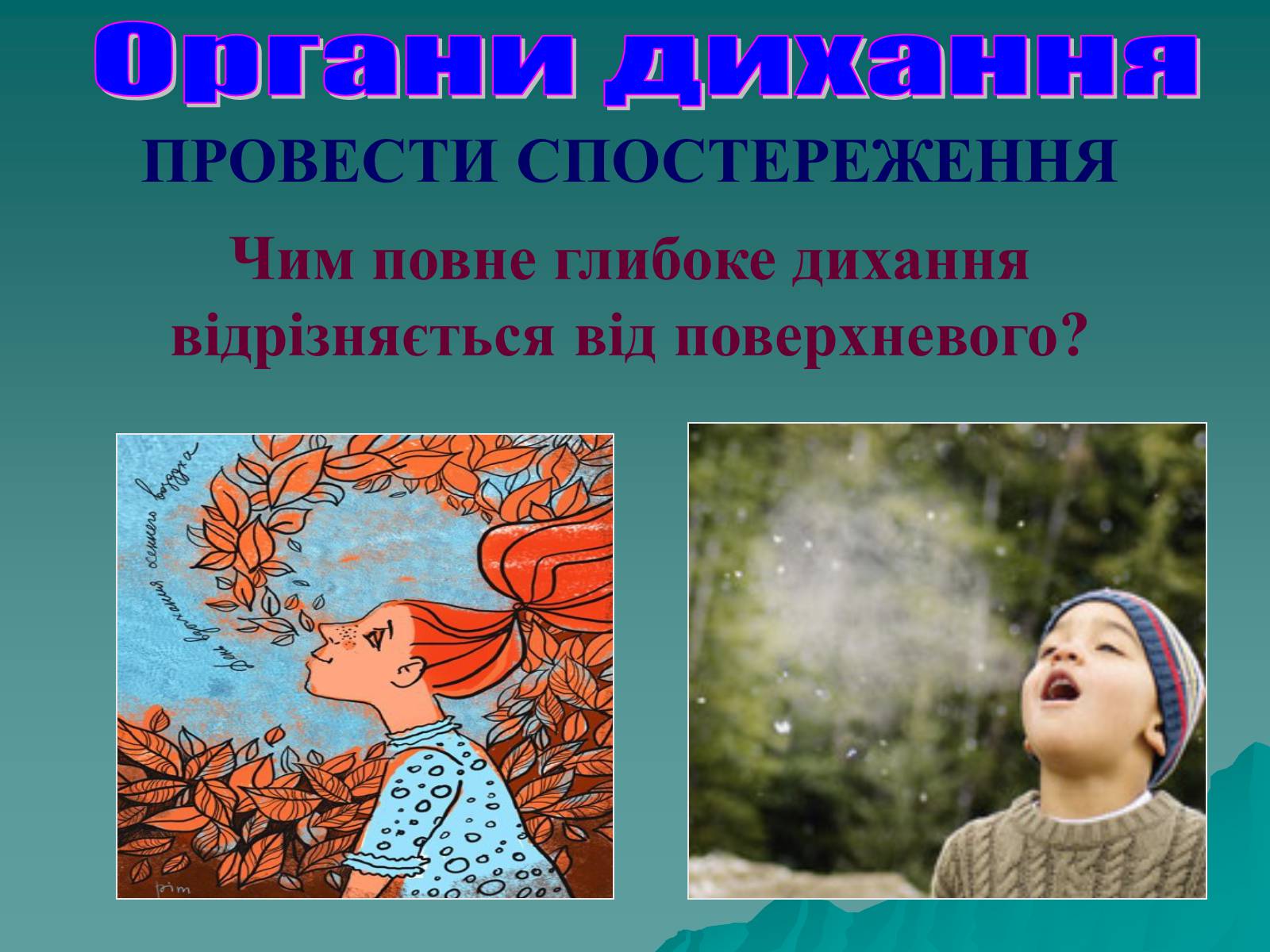 Презентація на тему «Дихання» (варіант 3) - Слайд #59 Презентація на тему «Дихання» (варіант 3) - Слайд #59