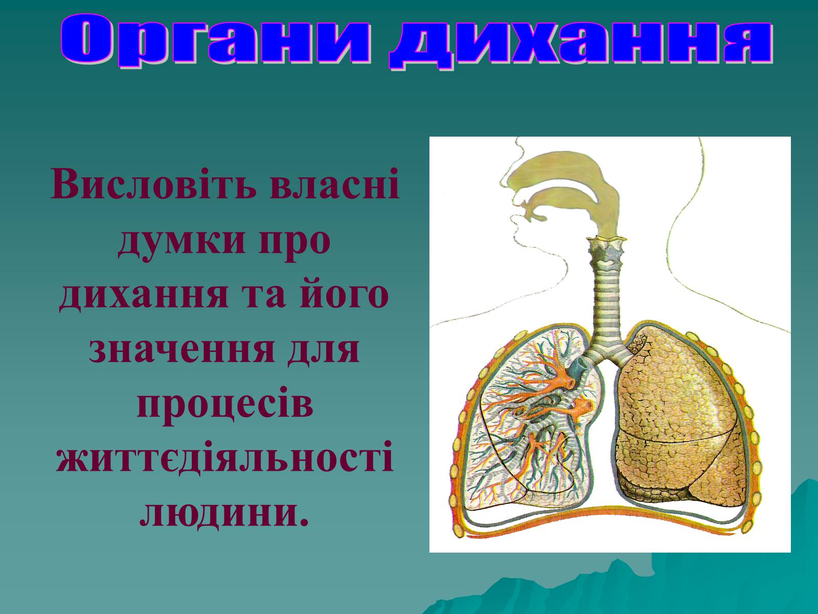 Презентація на тему «Дихання» (варіант 3) - Слайд #73 Презентація на тему «Дихання» (варіант 3) - Слайд #73