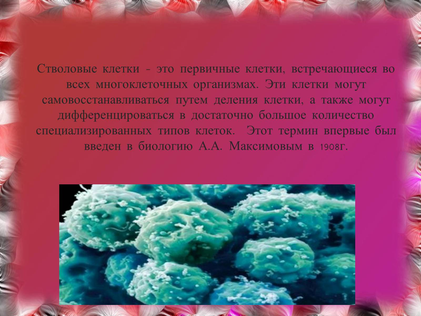 Презентація на тему «Эмбриотехнологии и клонирование» - Слайд #3 Презентація на тему «Эмбриотехнологии и клонирование» - Слайд #3