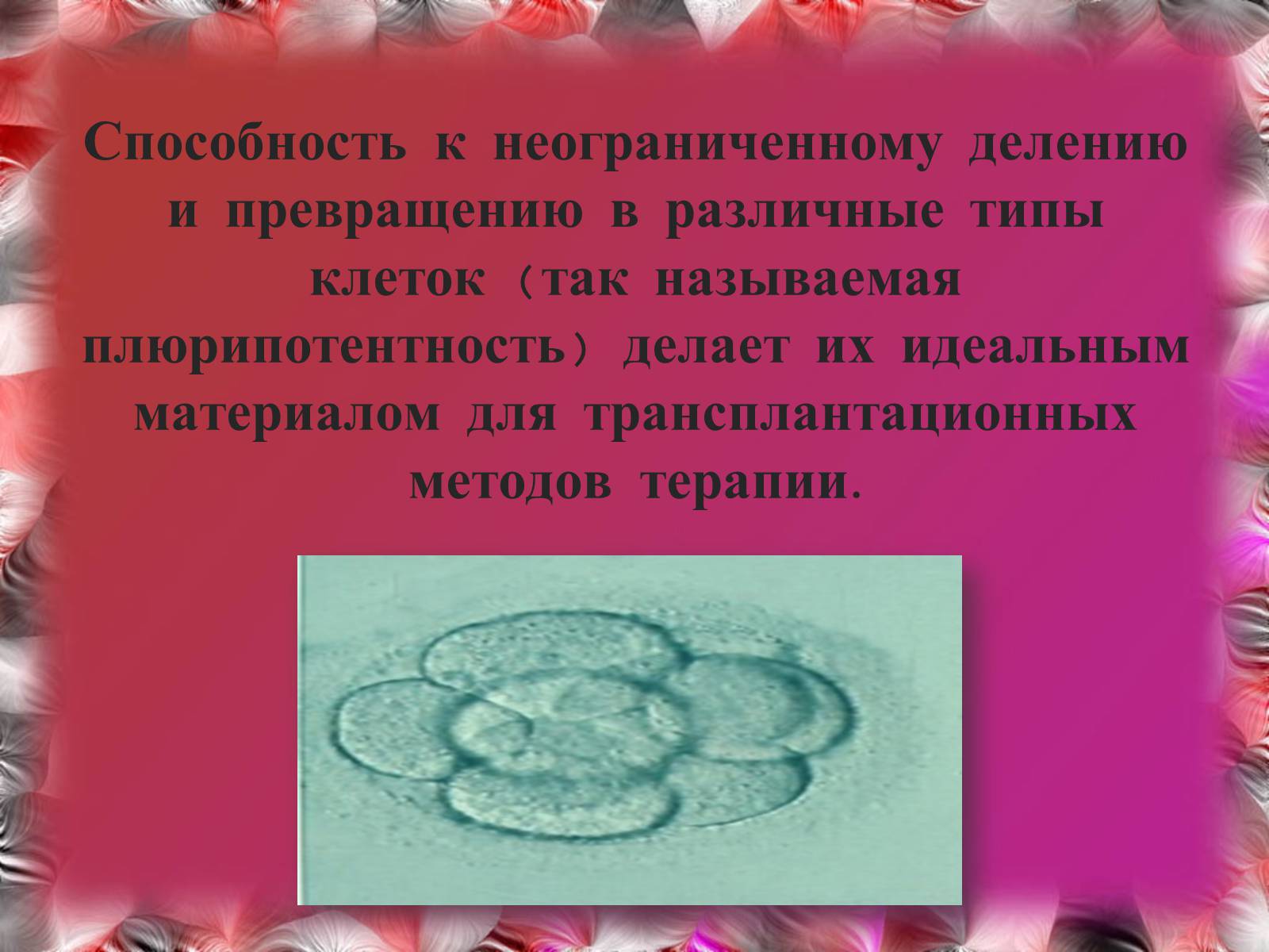 Презентація на тему «Эмбриотехнологии и клонирование» - Слайд #4 Презентація на тему «Эмбриотехнологии и клонирование» - Слайд #4