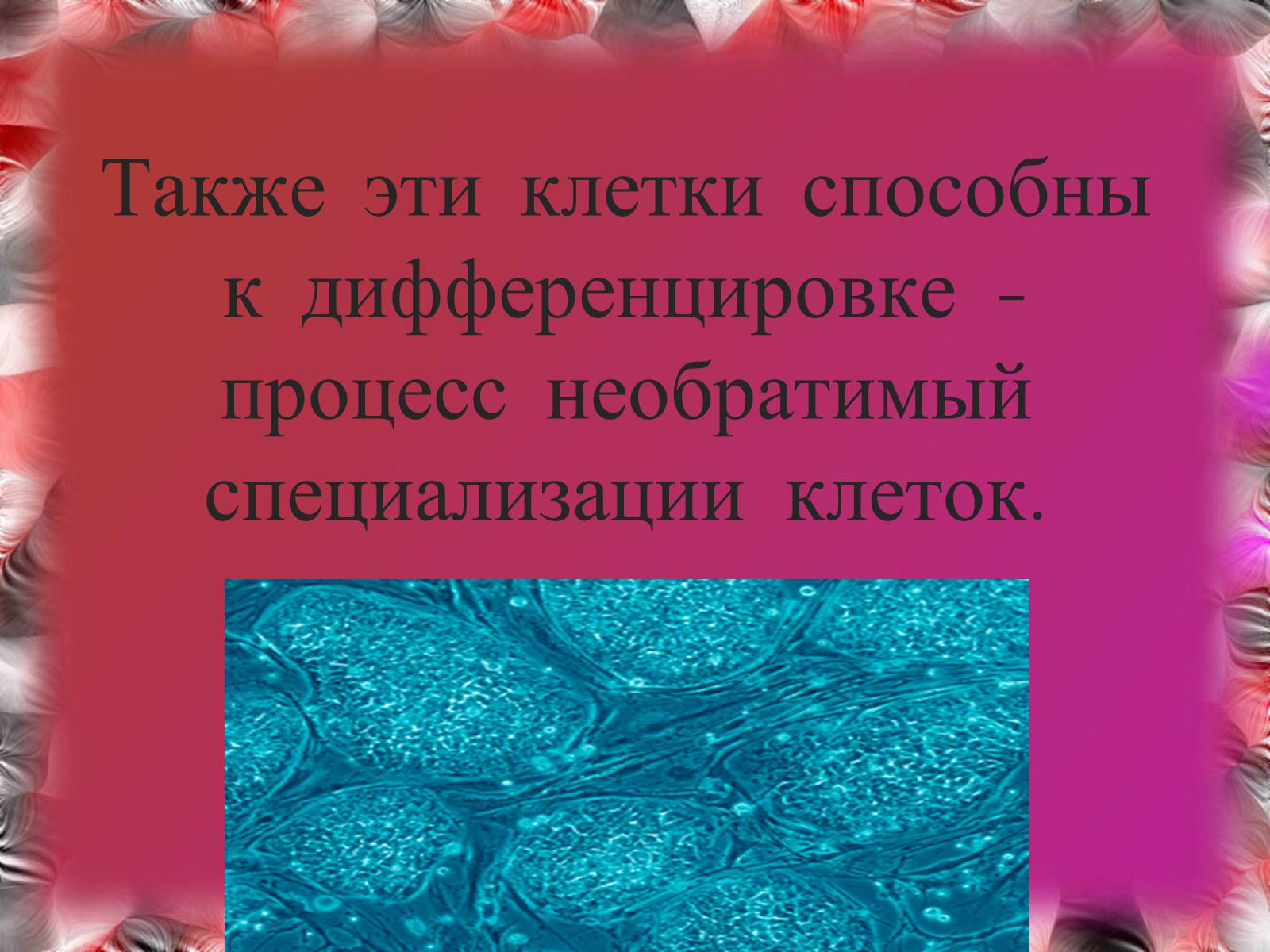 Презентація на тему «Эмбриотехнологии и клонирование» - Слайд #7 Презентація на тему «Эмбриотехнологии и клонирование» - Слайд #7