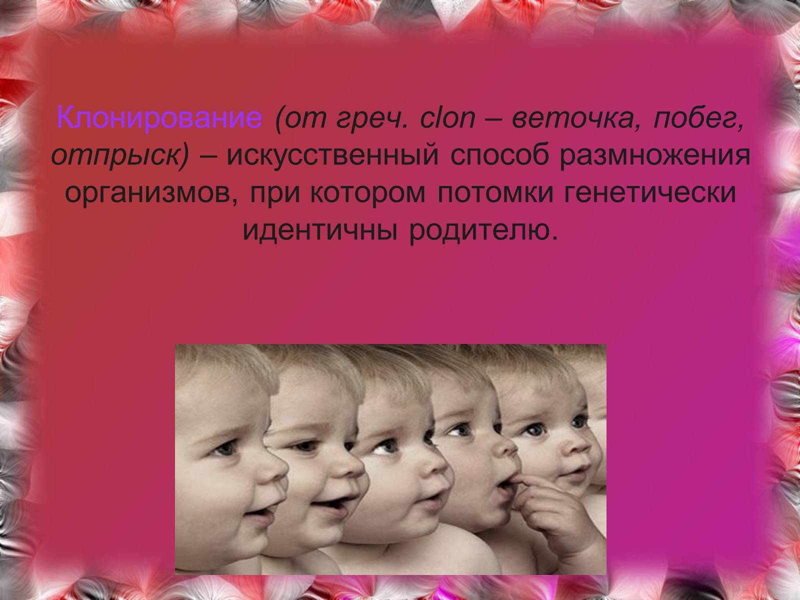 Презентація на тему «Эмбриотехнологии и клонирование» - Слайд #9 Презентація на тему «Эмбриотехнологии и клонирование» - Слайд #9