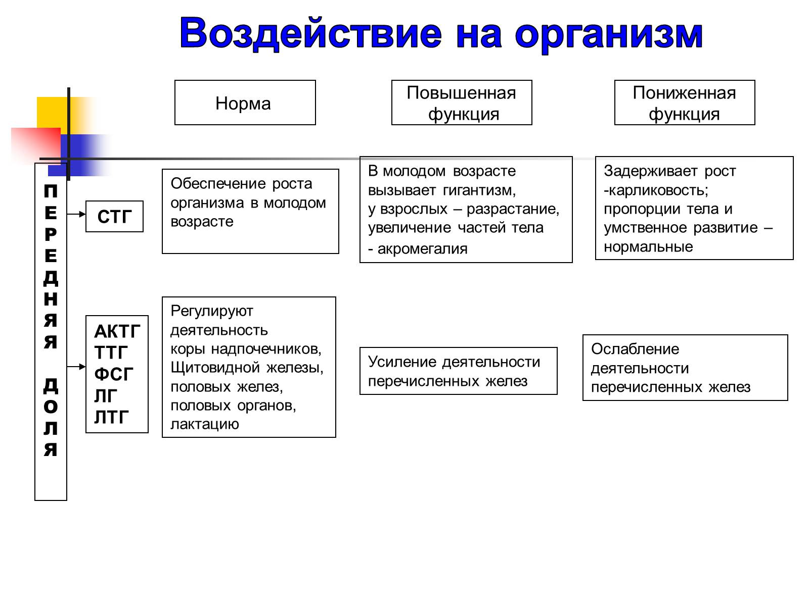 Презентація на тему «Регуляция процессов жизнедеятельности организма» - Слайд #14 Презентація на тему «Регуляция процессов жизнедеятельности организма» - Слайд #14