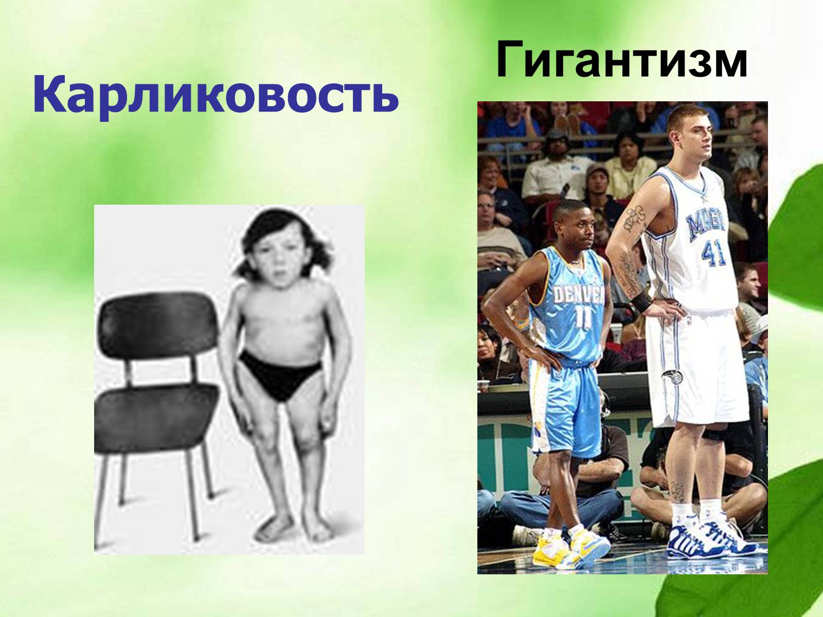 Презентація на тему «Регуляция процессов жизнедеятельности организма» - Слайд #16 Презентація на тему «Регуляция процессов жизнедеятельности организма» - Слайд #16