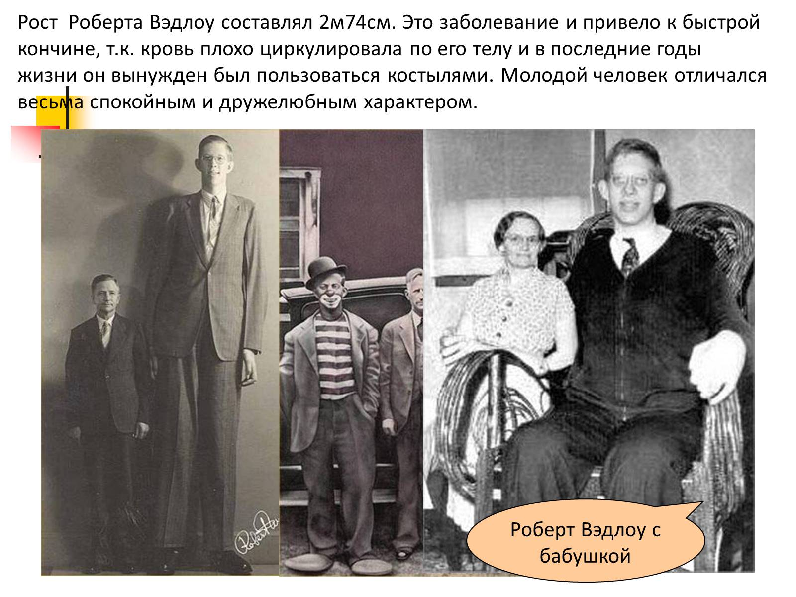 Презентація на тему «Регуляция процессов жизнедеятельности организма» - Слайд #19 Презентація на тему «Регуляция процессов жизнедеятельности организма» - Слайд #19