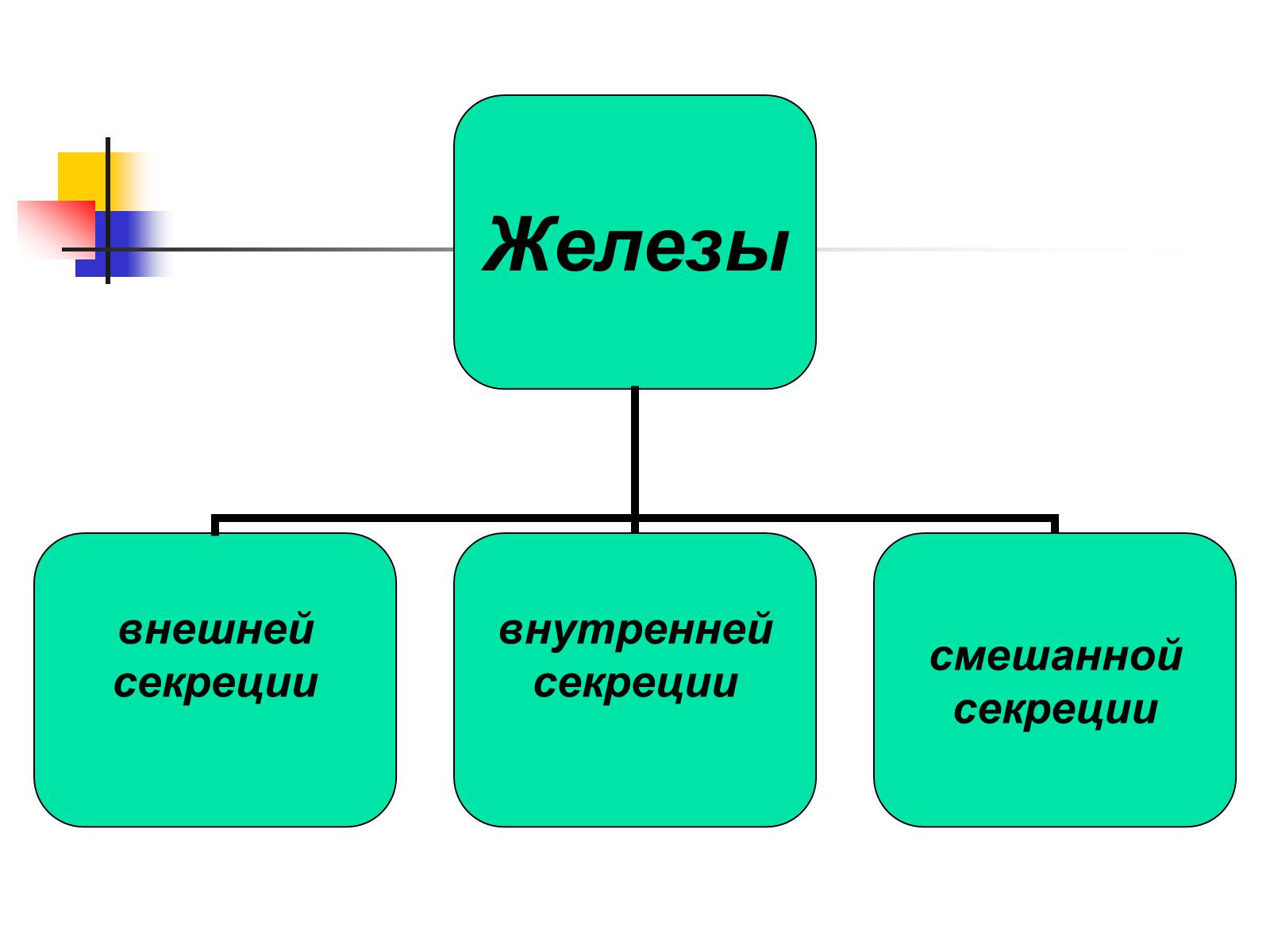 Презентація на тему «Регуляция процессов жизнедеятельности организма» - Слайд #2 Презентація на тему «Регуляция процессов жизнедеятельности организма» - Слайд #2