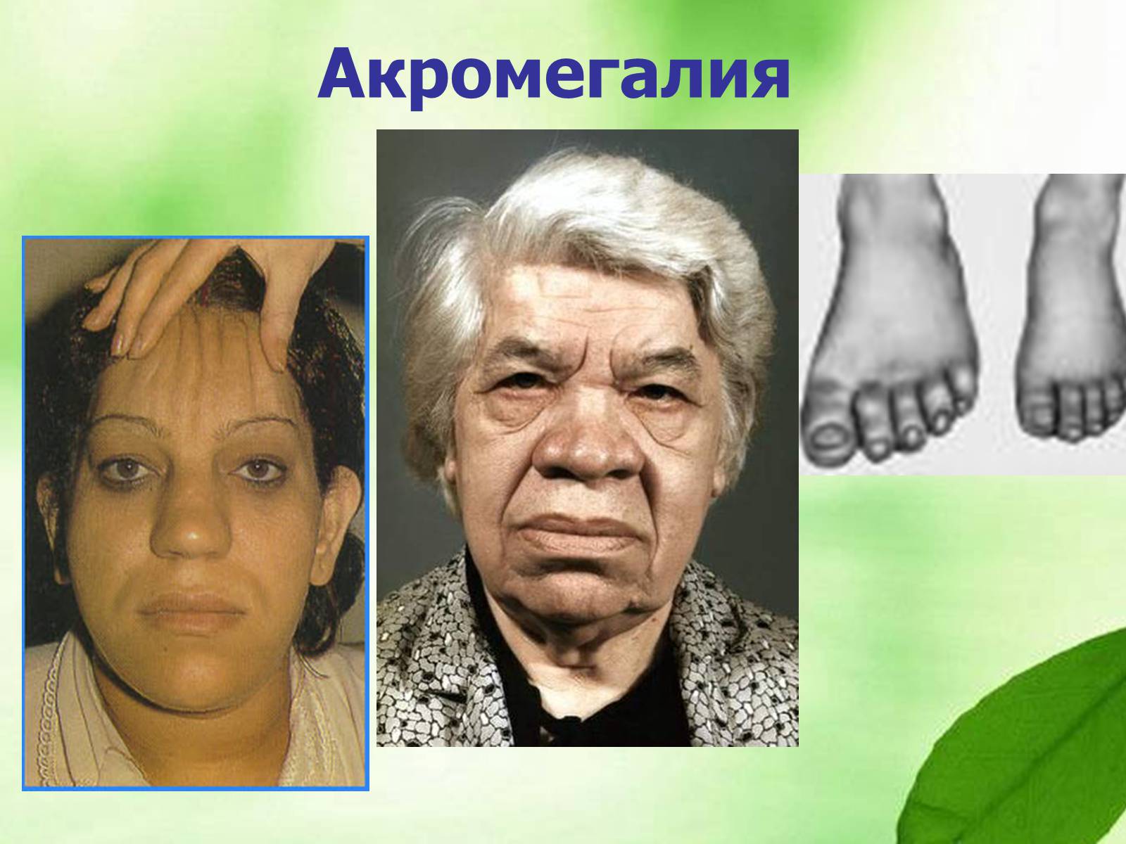 Презентація на тему «Регуляция процессов жизнедеятельности организма» - Слайд #20 Презентація на тему «Регуляция процессов жизнедеятельности организма» - Слайд #20