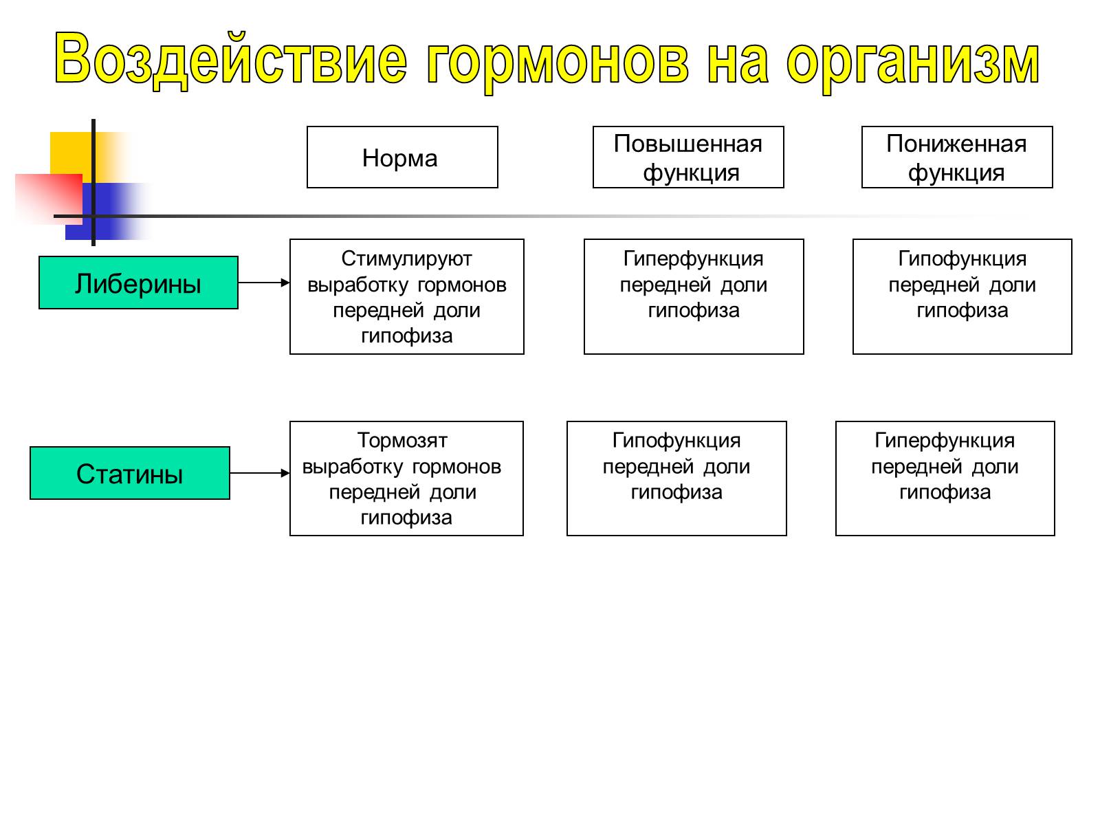 Презентація на тему «Регуляция процессов жизнедеятельности организма» - Слайд #24 Презентація на тему «Регуляция процессов жизнедеятельности организма» - Слайд #24