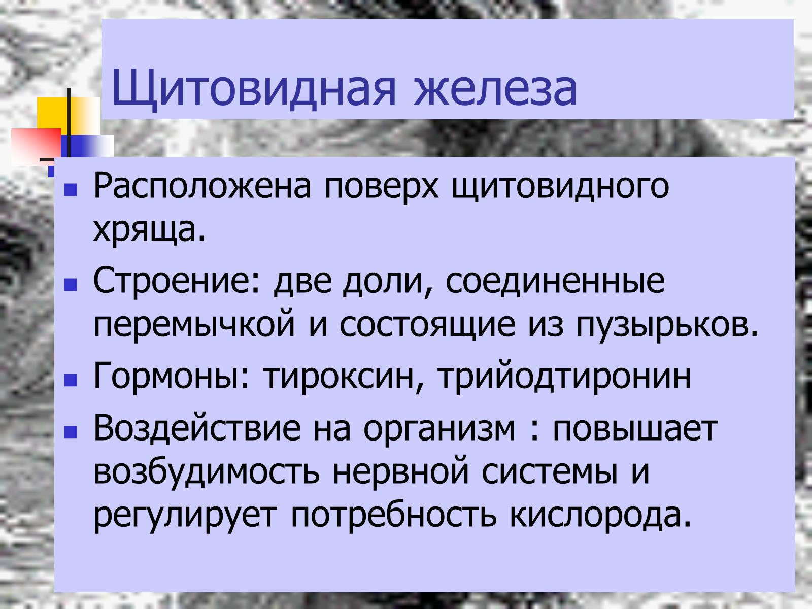 Презентація на тему «Регуляция процессов жизнедеятельности организма» - Слайд #26 Презентація на тему «Регуляция процессов жизнедеятельности организма» - Слайд #26
