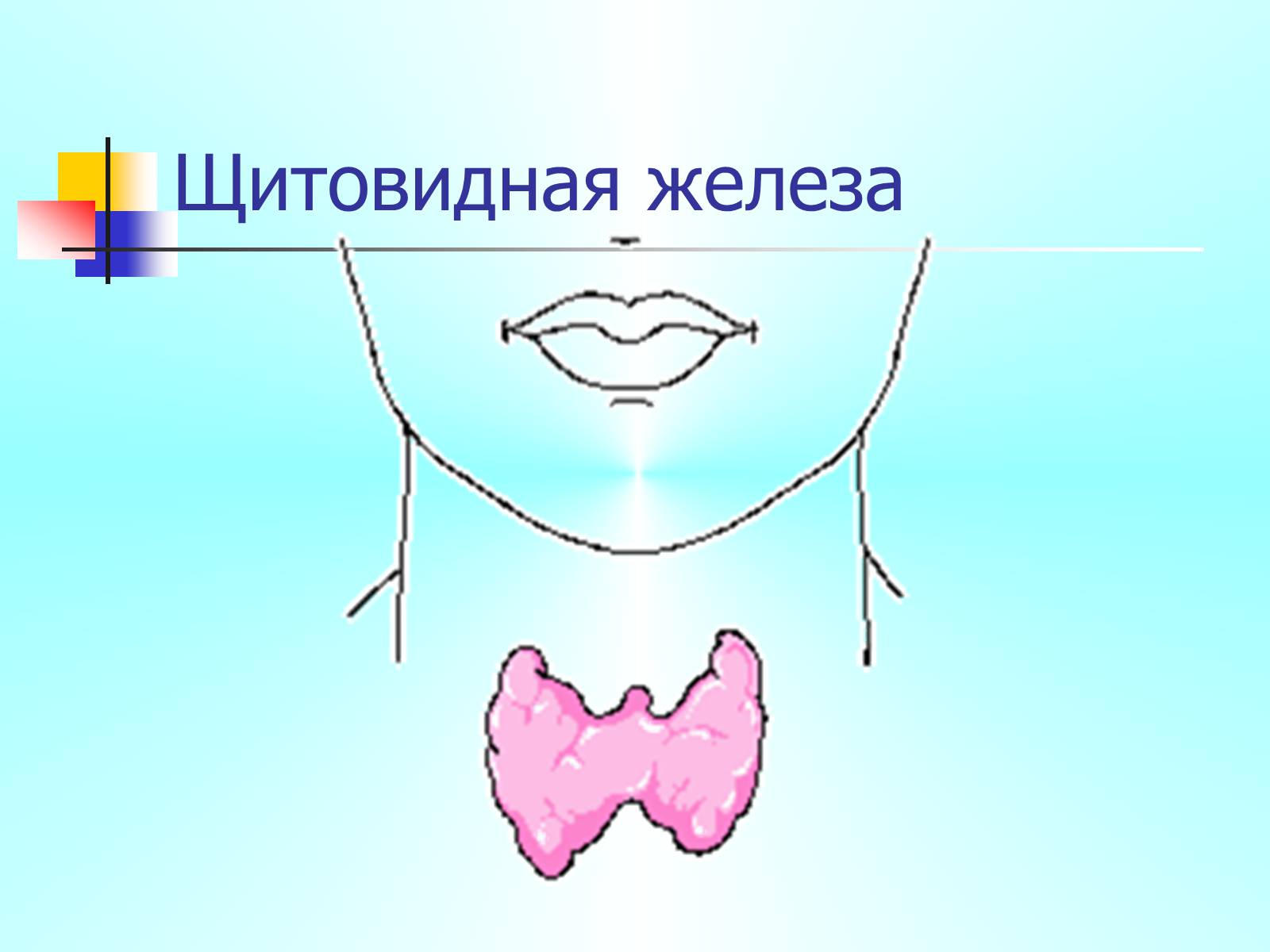 Презентація на тему «Регуляция процессов жизнедеятельности организма» - Слайд #27 Презентація на тему «Регуляция процессов жизнедеятельности организма» - Слайд #27
