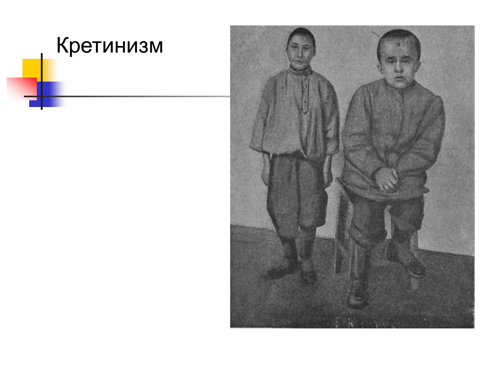 Презентація на тему «Регуляция процессов жизнедеятельности организма» - Слайд #33 Презентація на тему «Регуляция процессов жизнедеятельности организма» - Слайд #33