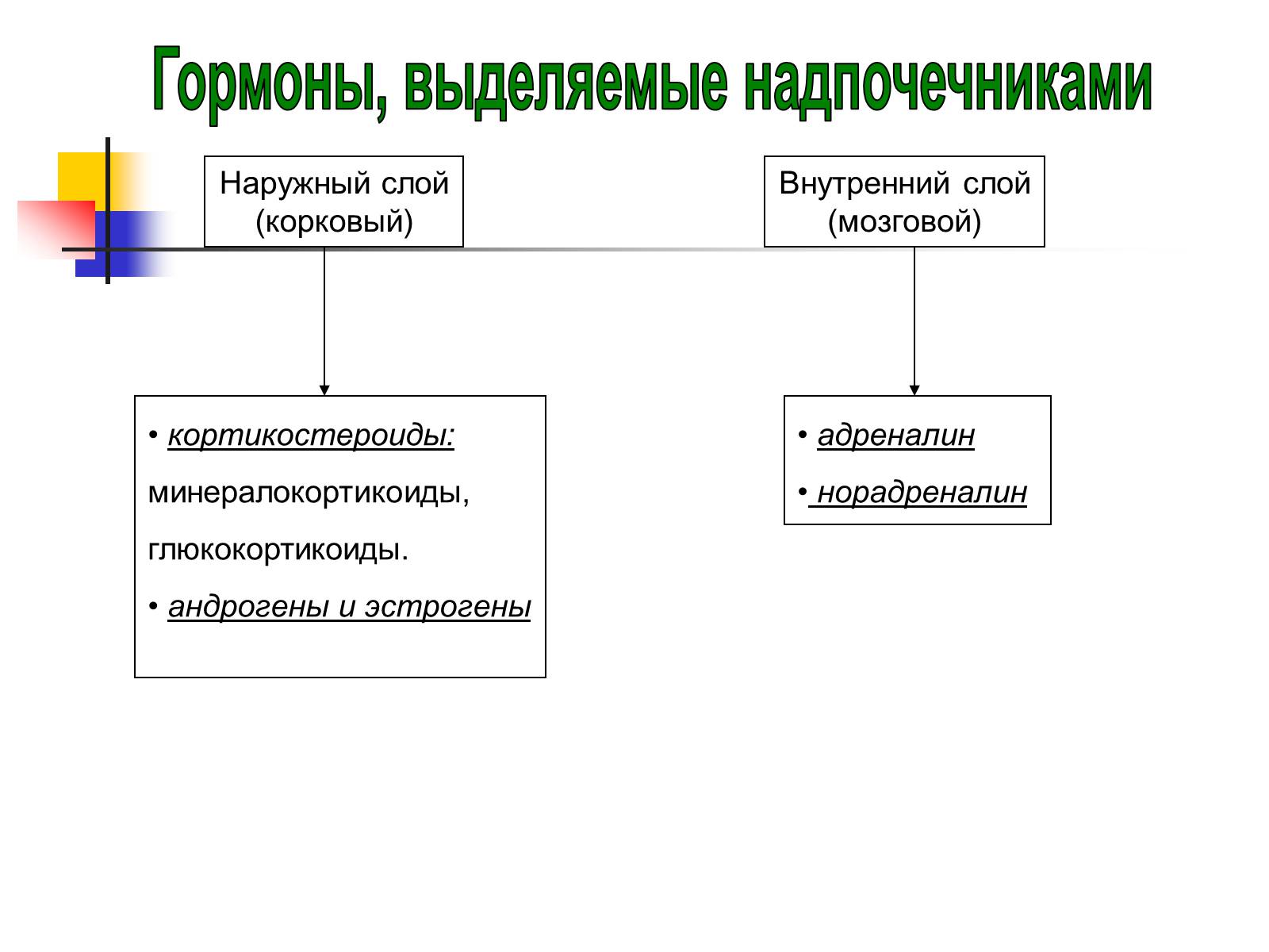 Презентація на тему «Регуляция процессов жизнедеятельности организма» - Слайд #38 Презентація на тему «Регуляция процессов жизнедеятельности организма» - Слайд #38