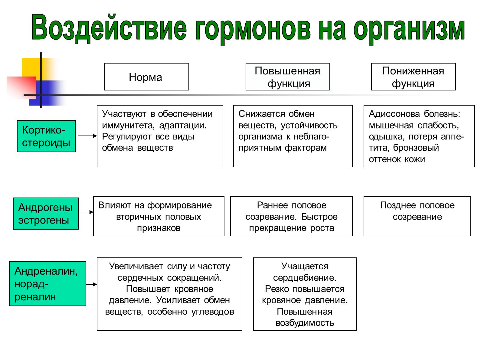 Презентація на тему «Регуляция процессов жизнедеятельности организма» - Слайд #39 Презентація на тему «Регуляция процессов жизнедеятельности организма» - Слайд #39