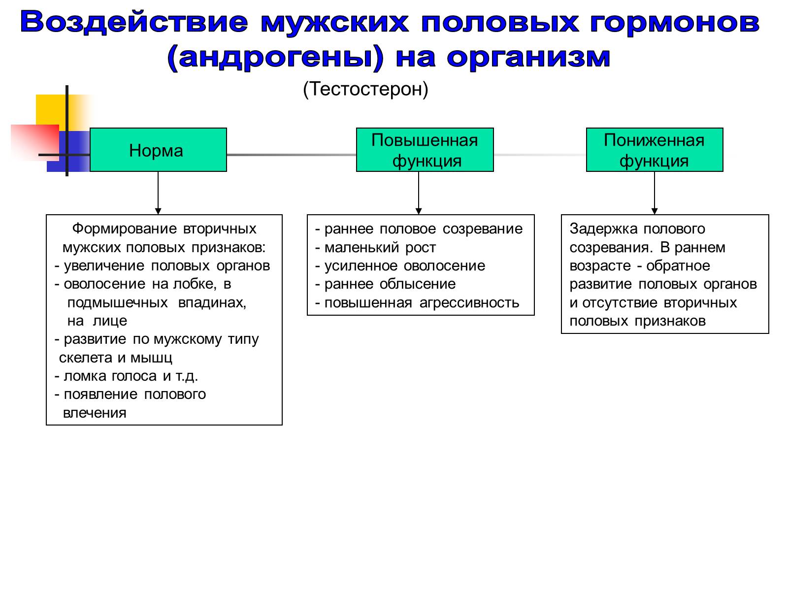 Презентація на тему «Регуляция процессов жизнедеятельности организма» - Слайд #45 Презентація на тему «Регуляция процессов жизнедеятельности организма» - Слайд #45
