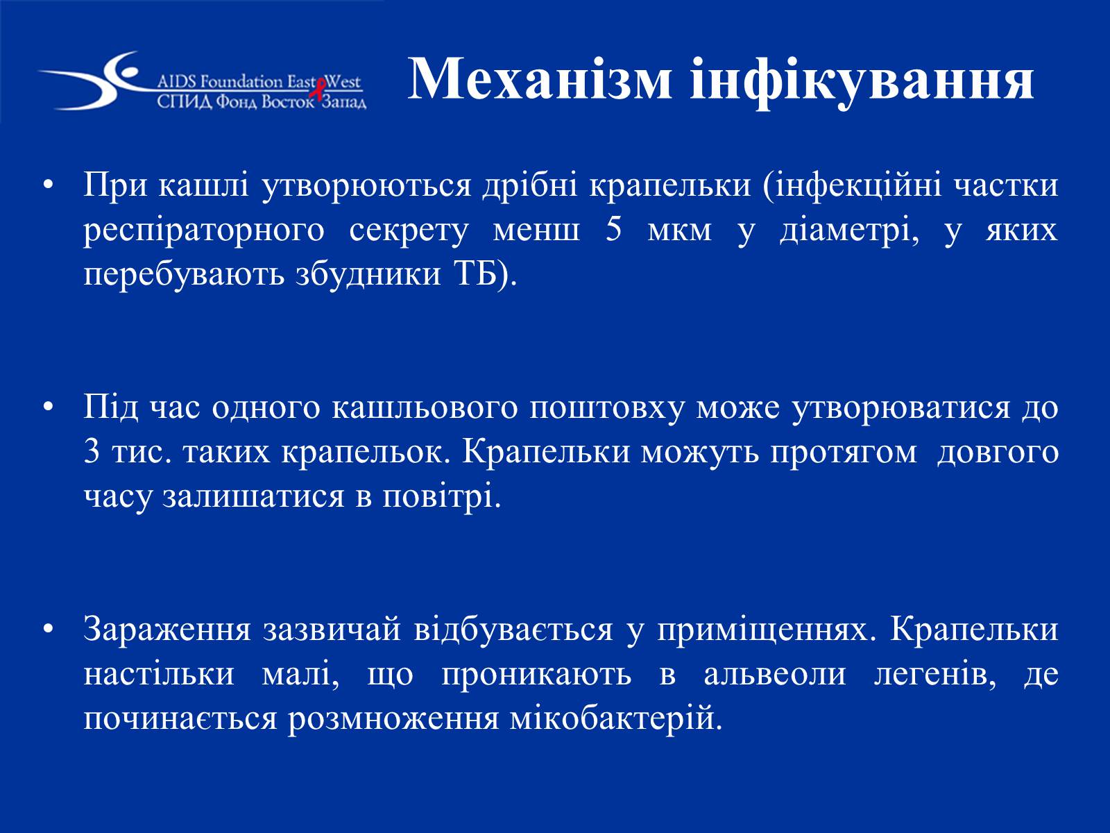 Презентація на тему «Туберкульоз» (варіант 1) - Слайд #12 Презентація на тему «Туберкульоз» (варіант 1) - Слайд #12
