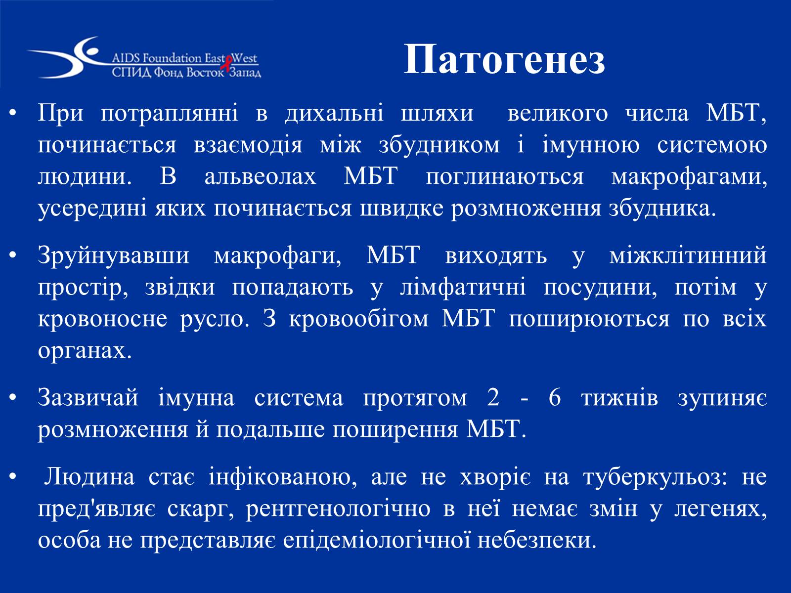 Презентація на тему «Туберкульоз» (варіант 1) - Слайд #17 Презентація на тему «Туберкульоз» (варіант 1) - Слайд #17