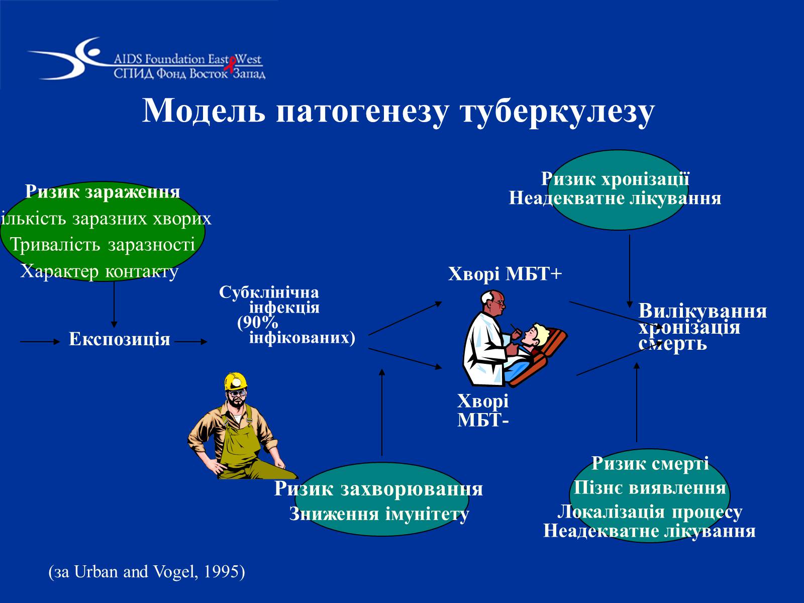 Презентація на тему «Туберкульоз» (варіант 1) - Слайд #18 Презентація на тему «Туберкульоз» (варіант 1) - Слайд #18