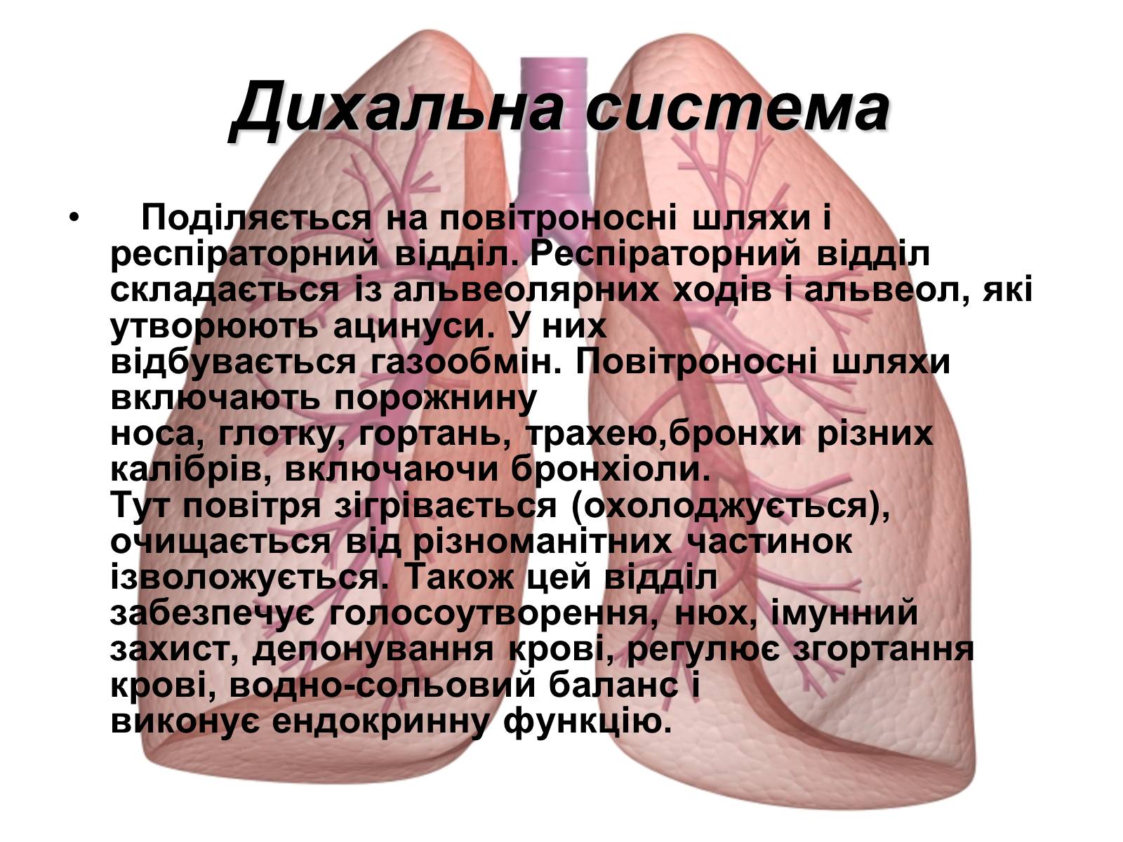 Презентація на тему «Фізіологічні та функціональні системи людини» - Слайд #6 Презентація на тему «Фізіологічні та функціональні системи людини» - Слайд #6