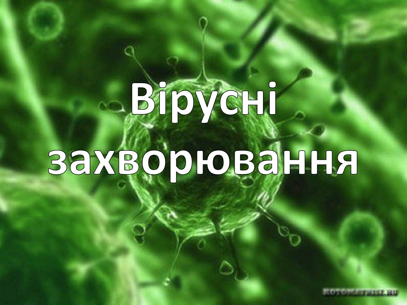 Презентація на тему «Вірусні захворювання» (варіант 1) - Слайд #1 Презентація на тему «Вірусні захворювання» (варіант 1) - Слайд #1