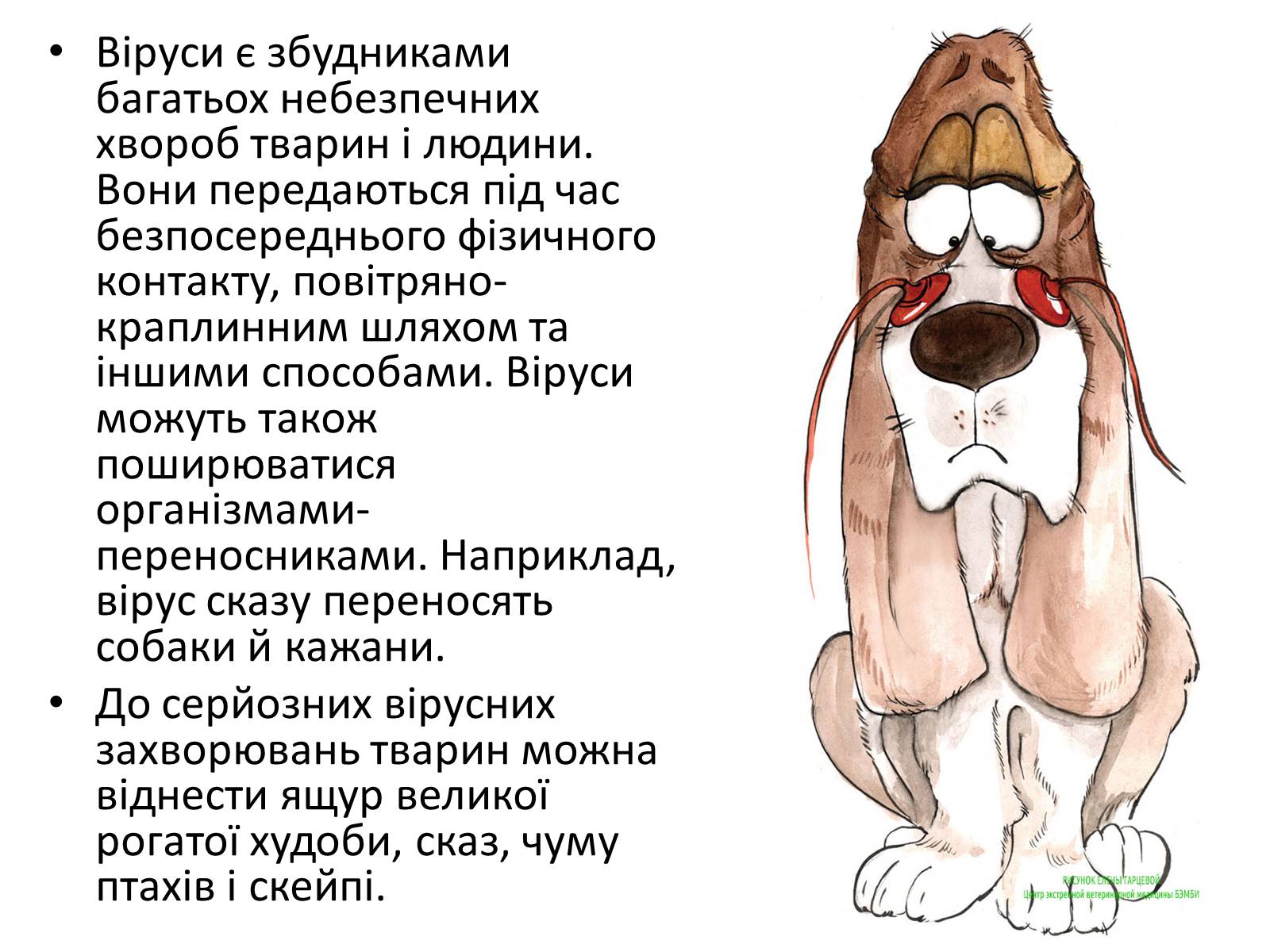 Презентація на тему «Вірусні захворювання» (варіант 1) - Слайд #4 Презентація на тему «Вірусні захворювання» (варіант 1) - Слайд #4