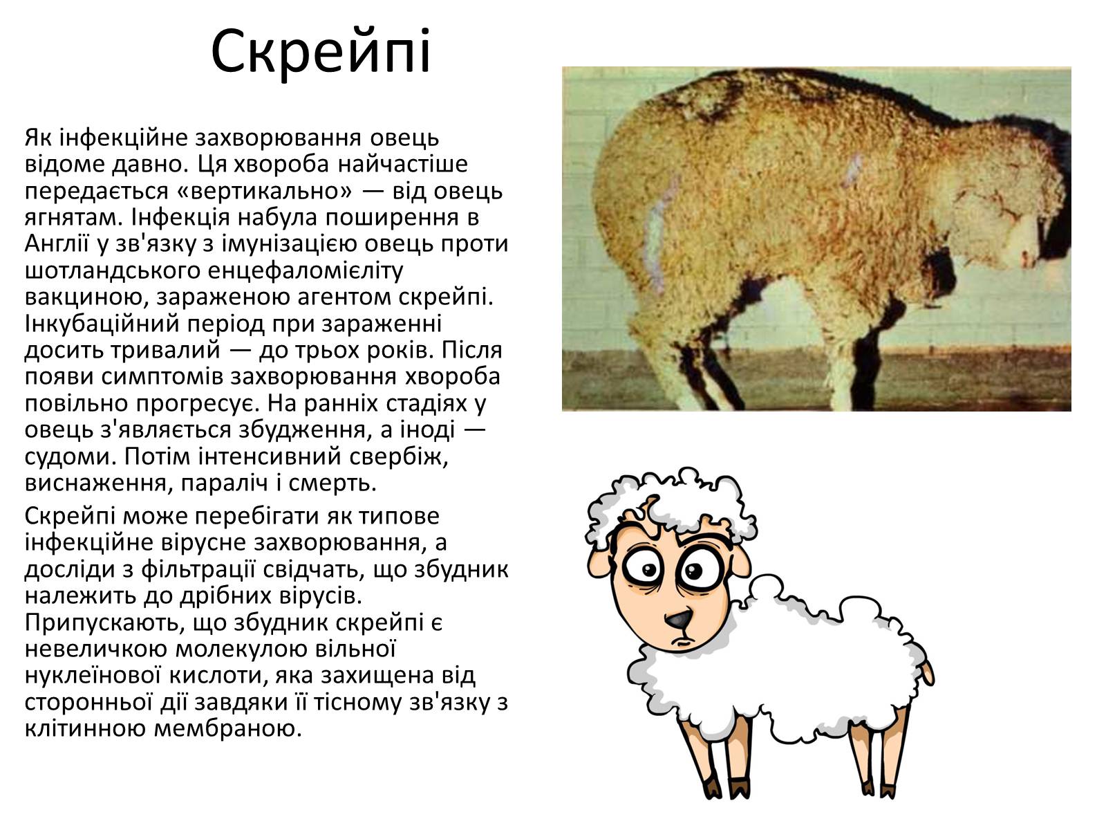 Презентація на тему «Вірусні захворювання» (варіант 1) - Слайд #7 Презентація на тему «Вірусні захворювання» (варіант 1) - Слайд #7
