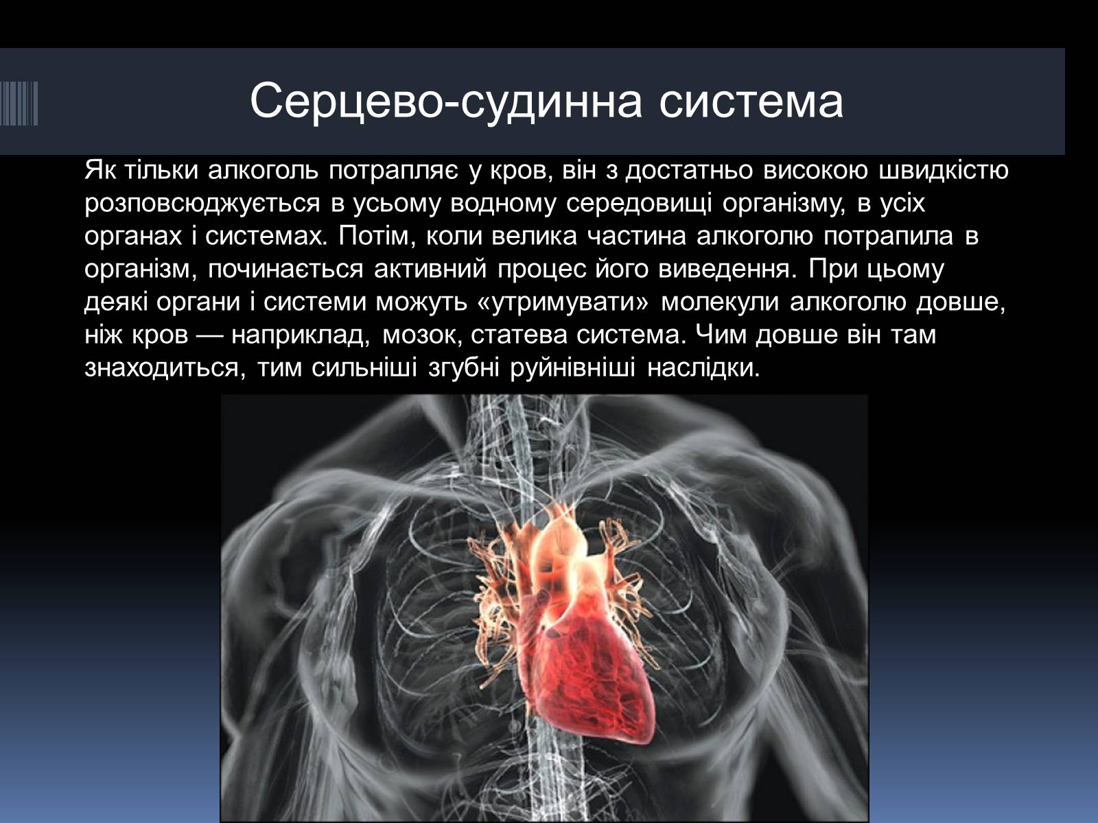 Презентація на тему «Вплив алкоголю на організм людини» (варіант 4) - Слайд #9 Презентація на тему «Вплив алкоголю на організм людини» (варіант 4) - Слайд #9