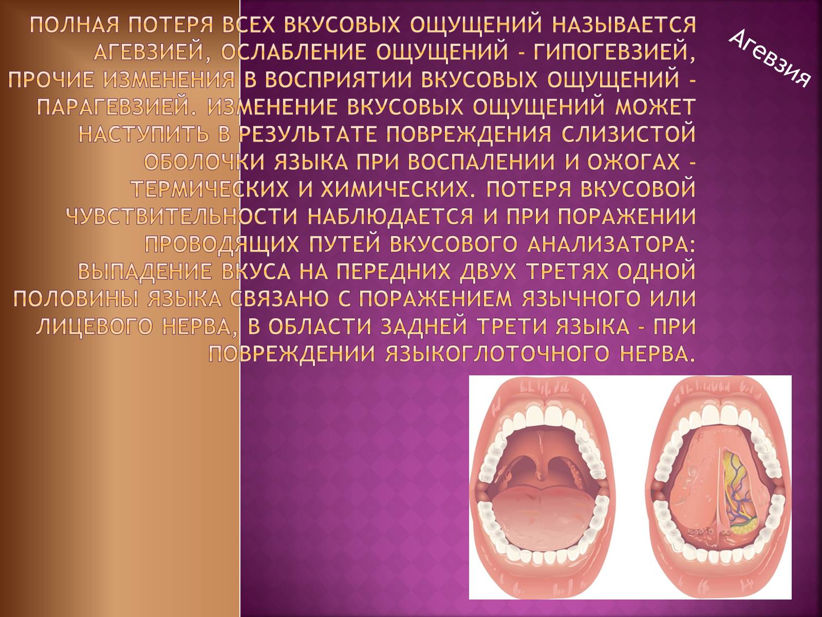 Презентація на тему «Вкусовой анализатор» - Слайд #11 Презентація на тему «Вкусовой анализатор» - Слайд #11