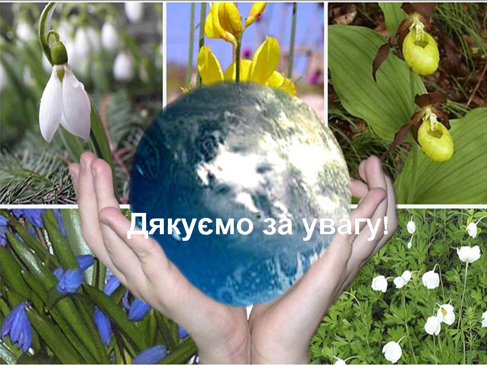 Презентація на тему «Рослини червоної книги України» (варіант 3) - Слайд #10 Презентація на тему «Рослини червоної книги України» (варіант 3) - Слайд #10