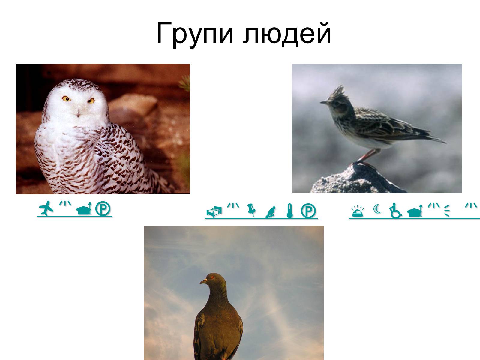 Презентація на тему «Біоритми-внутрішній годинник людини» - Слайд #10 Презентація на тему «Біоритми-внутрішній годинник людини» - Слайд #10