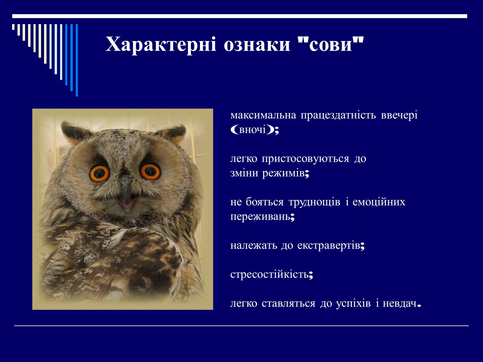 Презентація на тему «Біоритми-внутрішній годинник людини» - Слайд #11 Презентація на тему «Біоритми-внутрішній годинник людини» - Слайд #11