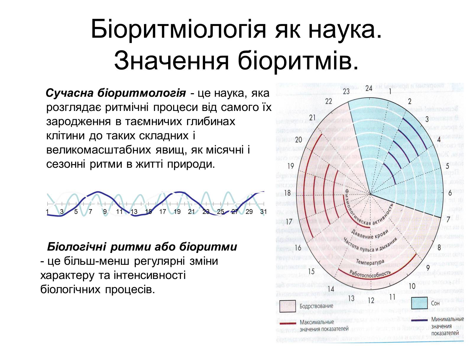 Презентація на тему «Біоритми-внутрішній годинник людини» - Слайд #3 Презентація на тему «Біоритми-внутрішній годинник людини» - Слайд #3