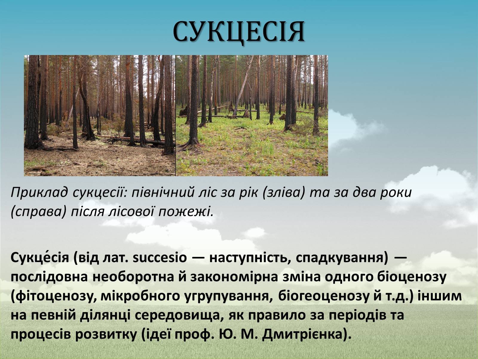 Презентація на тему «Різноманітність екосистем. Розвиток і зміни екосистем» - Слайд #10 Презентація на тему «Різноманітність екосистем. Розвиток і зміни екосистем» - Слайд #10