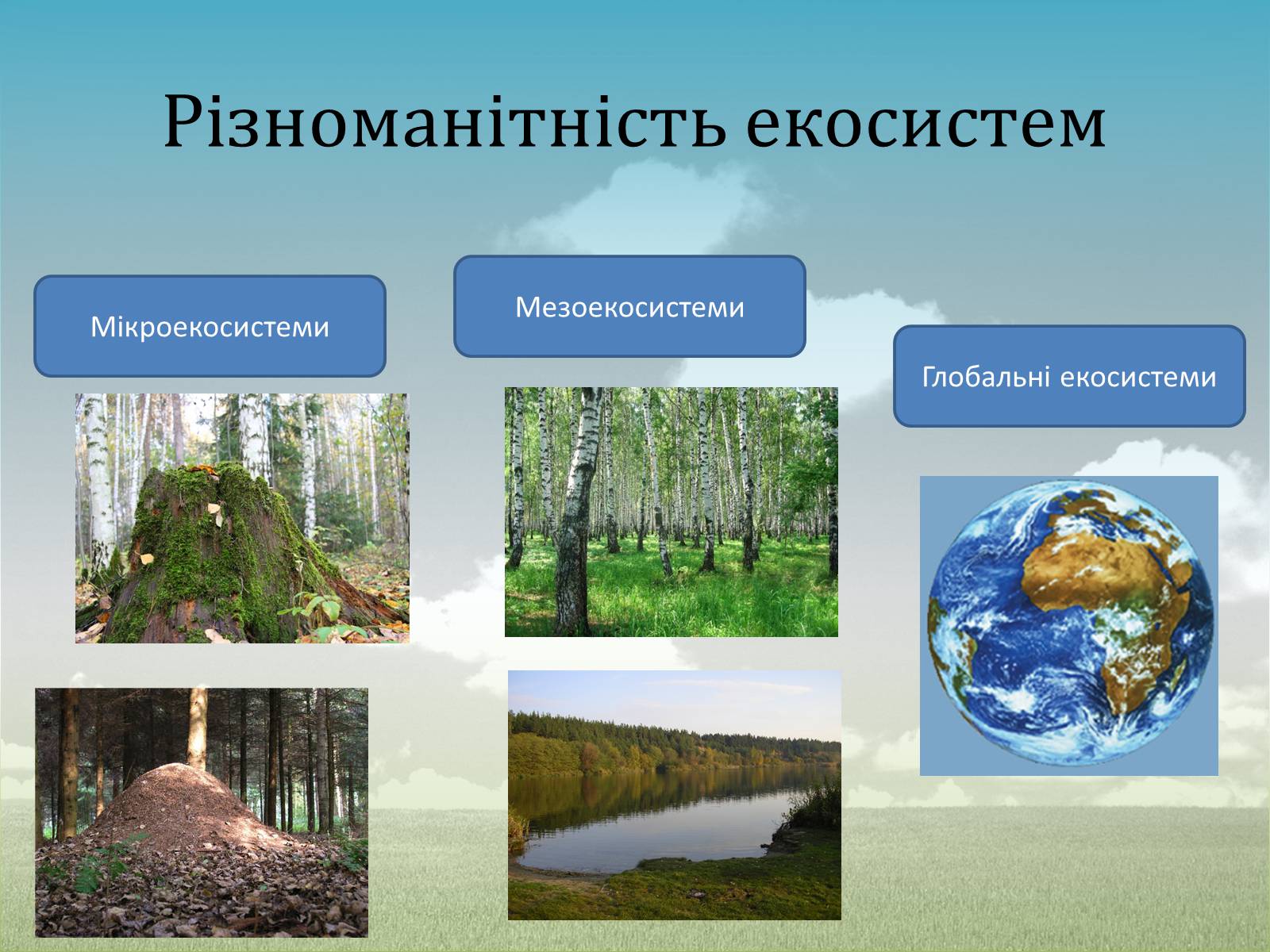 Презентація на тему «Різноманітність екосистем. Розвиток і зміни екосистем» - Слайд #3 Презентація на тему «Різноманітність екосистем. Розвиток і зміни екосистем» - Слайд #3