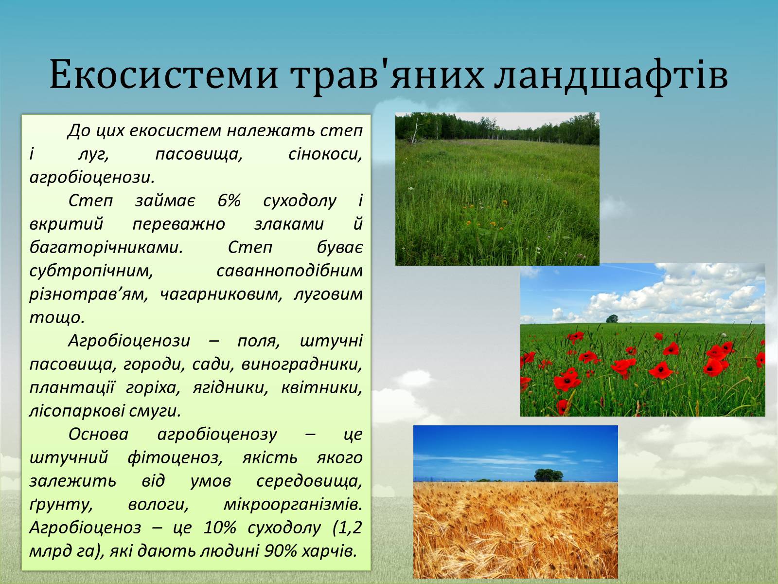 Презентація на тему «Різноманітність екосистем. Розвиток і зміни екосистем» - Слайд #5 Презентація на тему «Різноманітність екосистем. Розвиток і зміни екосистем» - Слайд #5