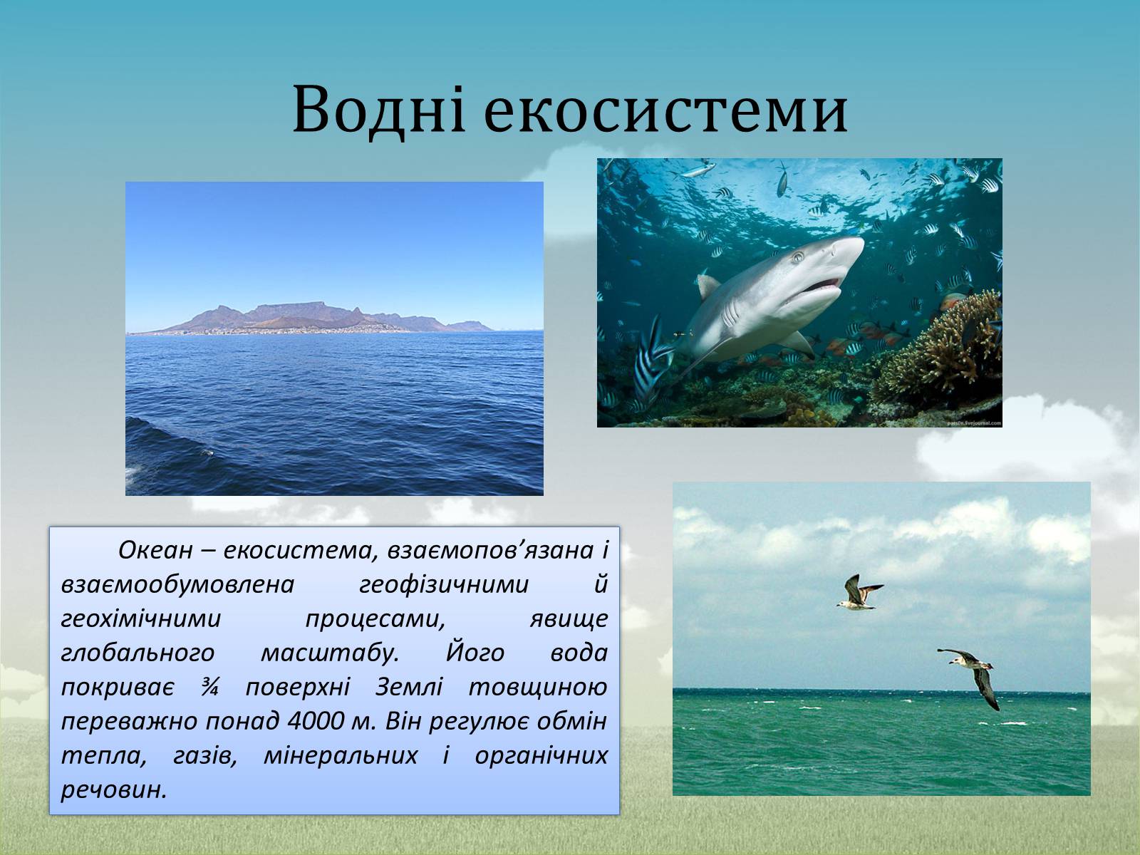 Презентація на тему «Різноманітність екосистем. Розвиток і зміни екосистем» - Слайд #6 Презентація на тему «Різноманітність екосистем. Розвиток і зміни екосистем» - Слайд #6
