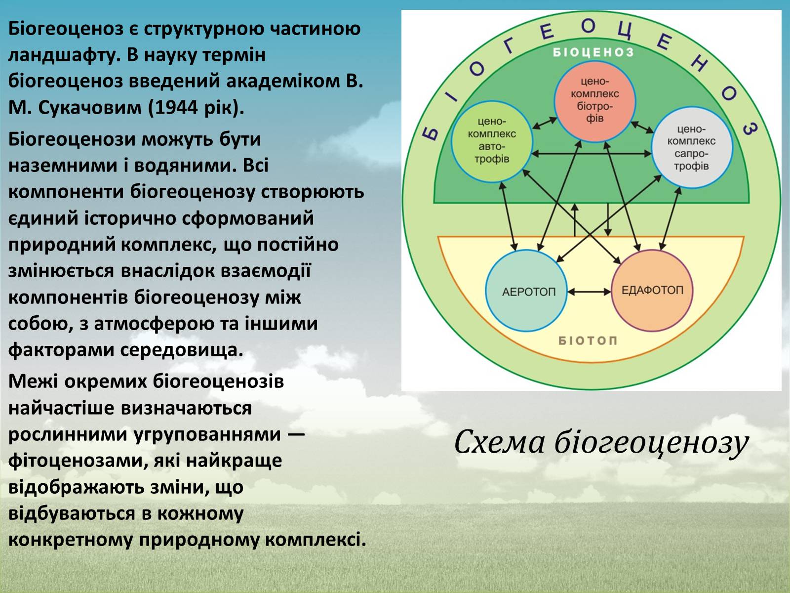 Презентація на тему «Різноманітність екосистем. Розвиток і зміни екосистем» - Слайд #8 Презентація на тему «Різноманітність екосистем. Розвиток і зміни екосистем» - Слайд #8