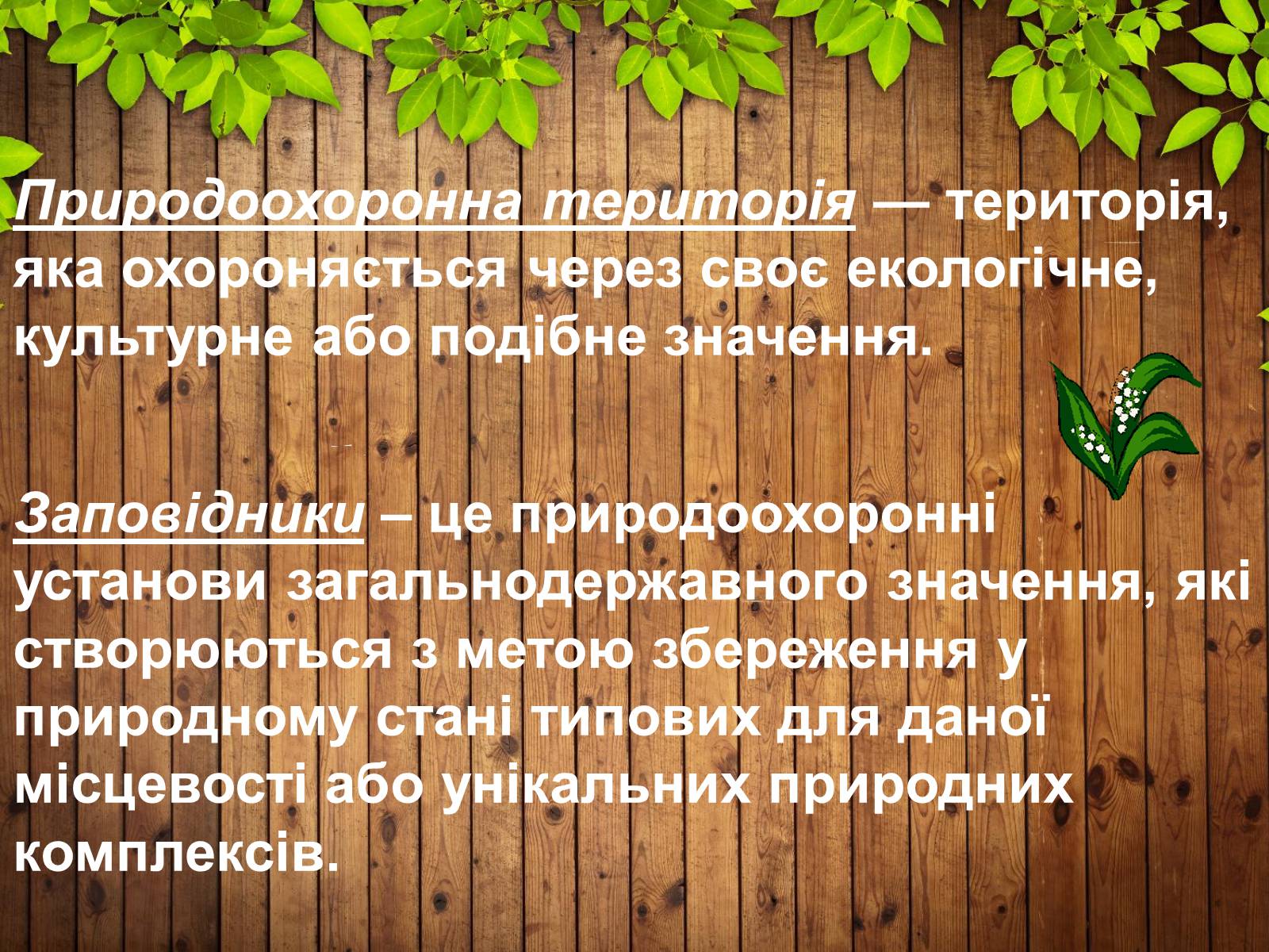 Презентація на тему «Збереження біорізноманіття» - Слайд #8 Презентація на тему «Збереження біорізноманіття» - Слайд #8
