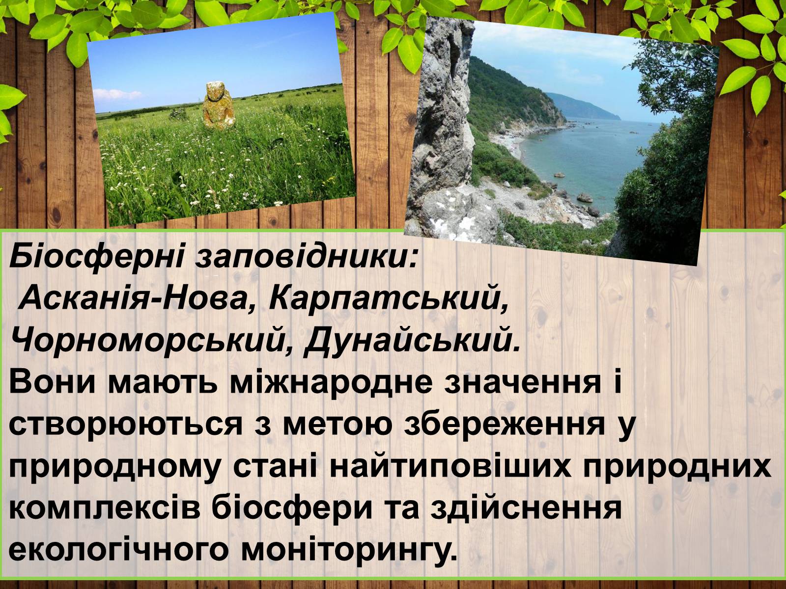 Презентація на тему «Збереження біорізноманіття» - Слайд #9 Презентація на тему «Збереження біорізноманіття» - Слайд #9